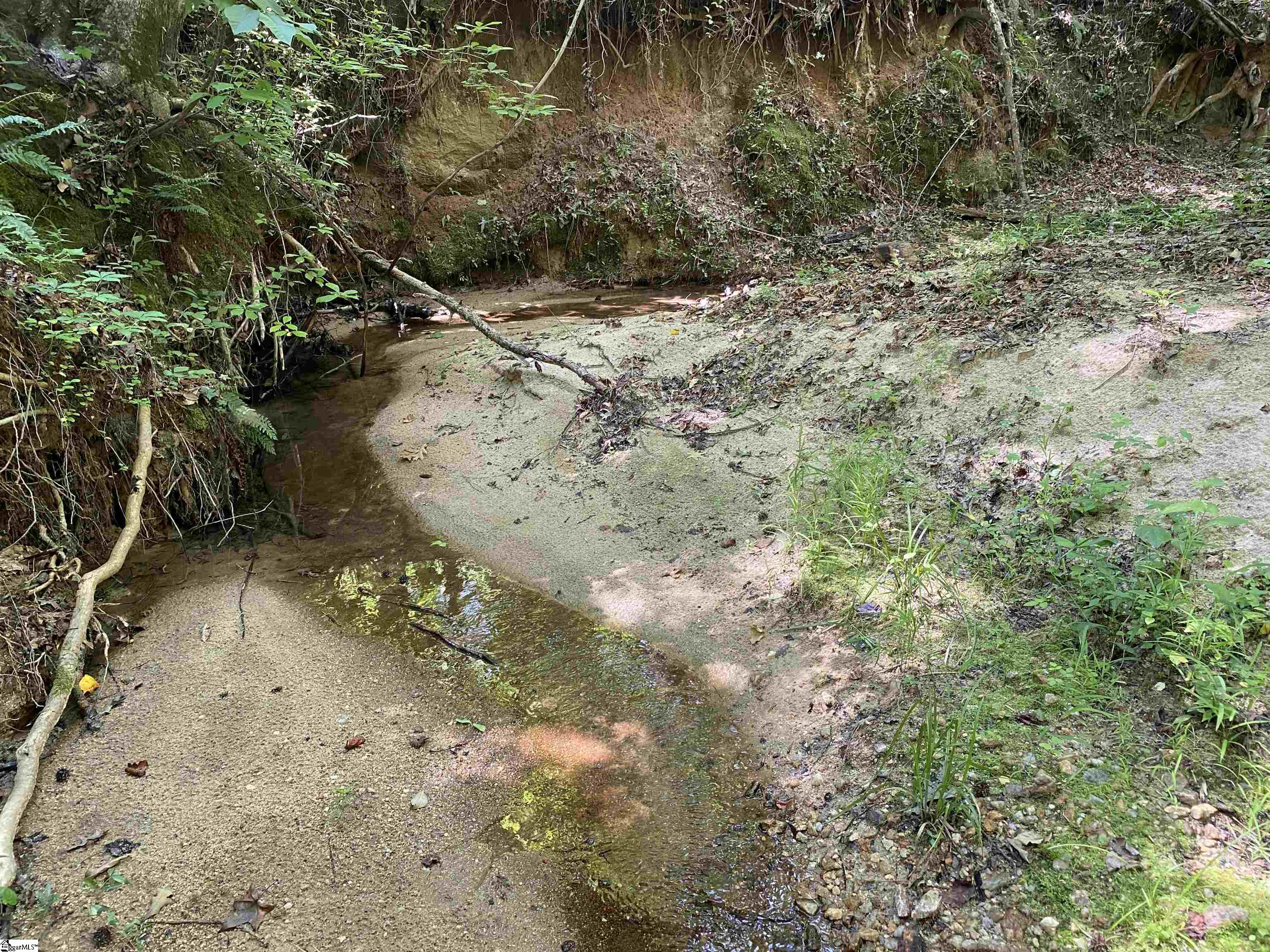 00 Indian Creek, Clinton, South Carolina image 23