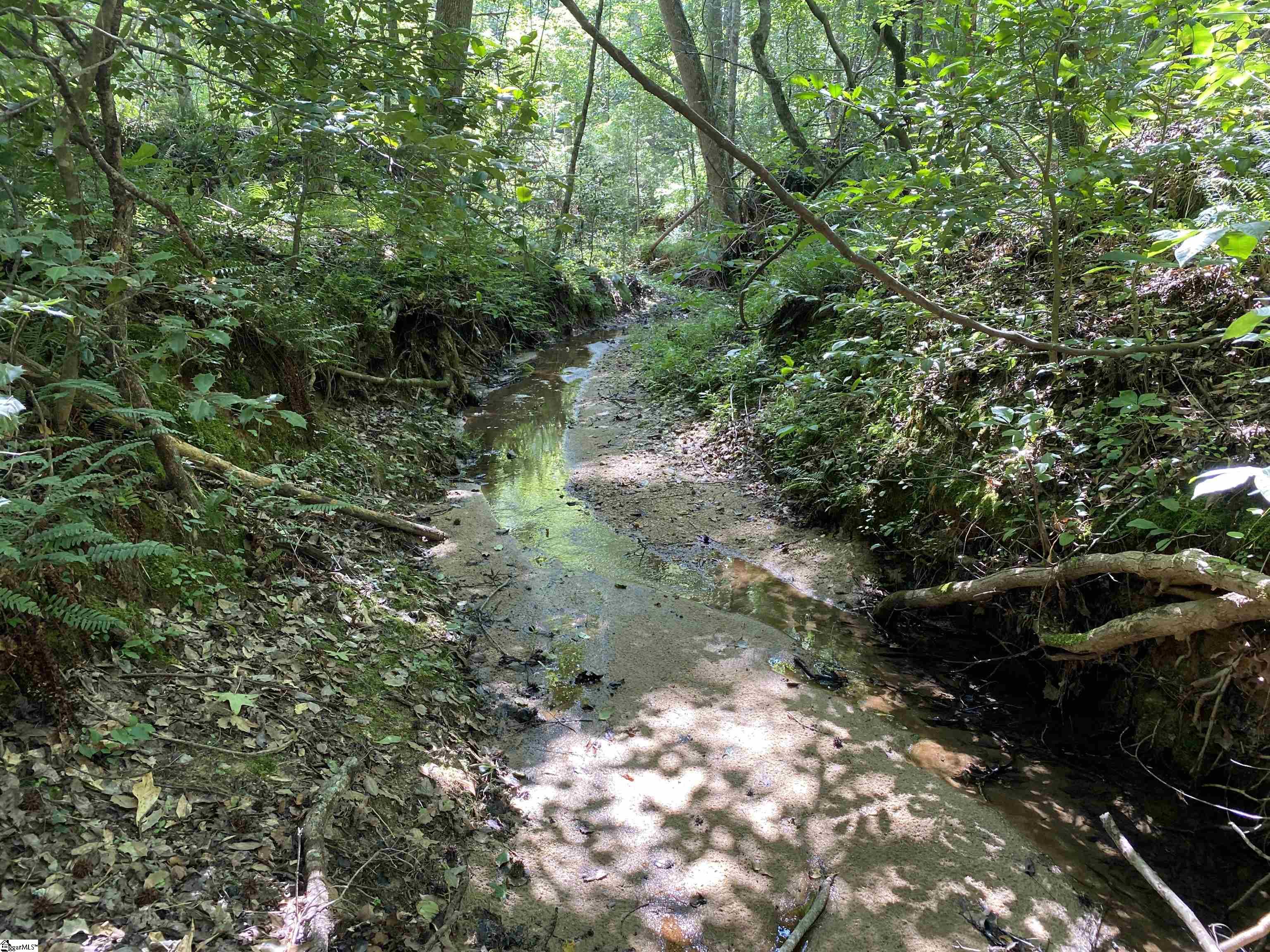 00 Indian Creek, Clinton, South Carolina image 24