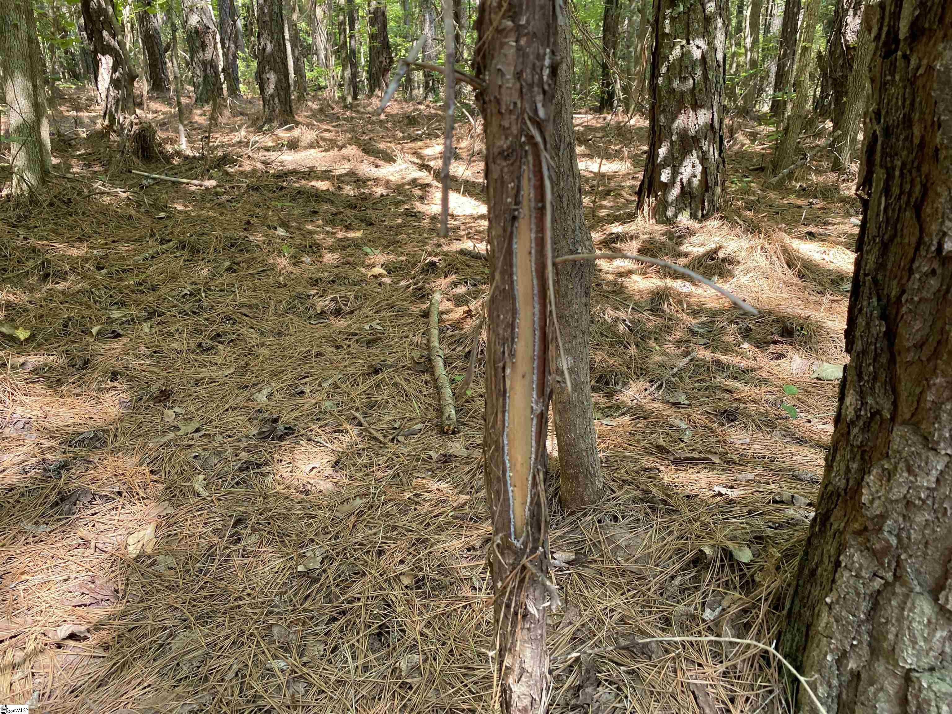 00 Indian Creek, Clinton, South Carolina image 25