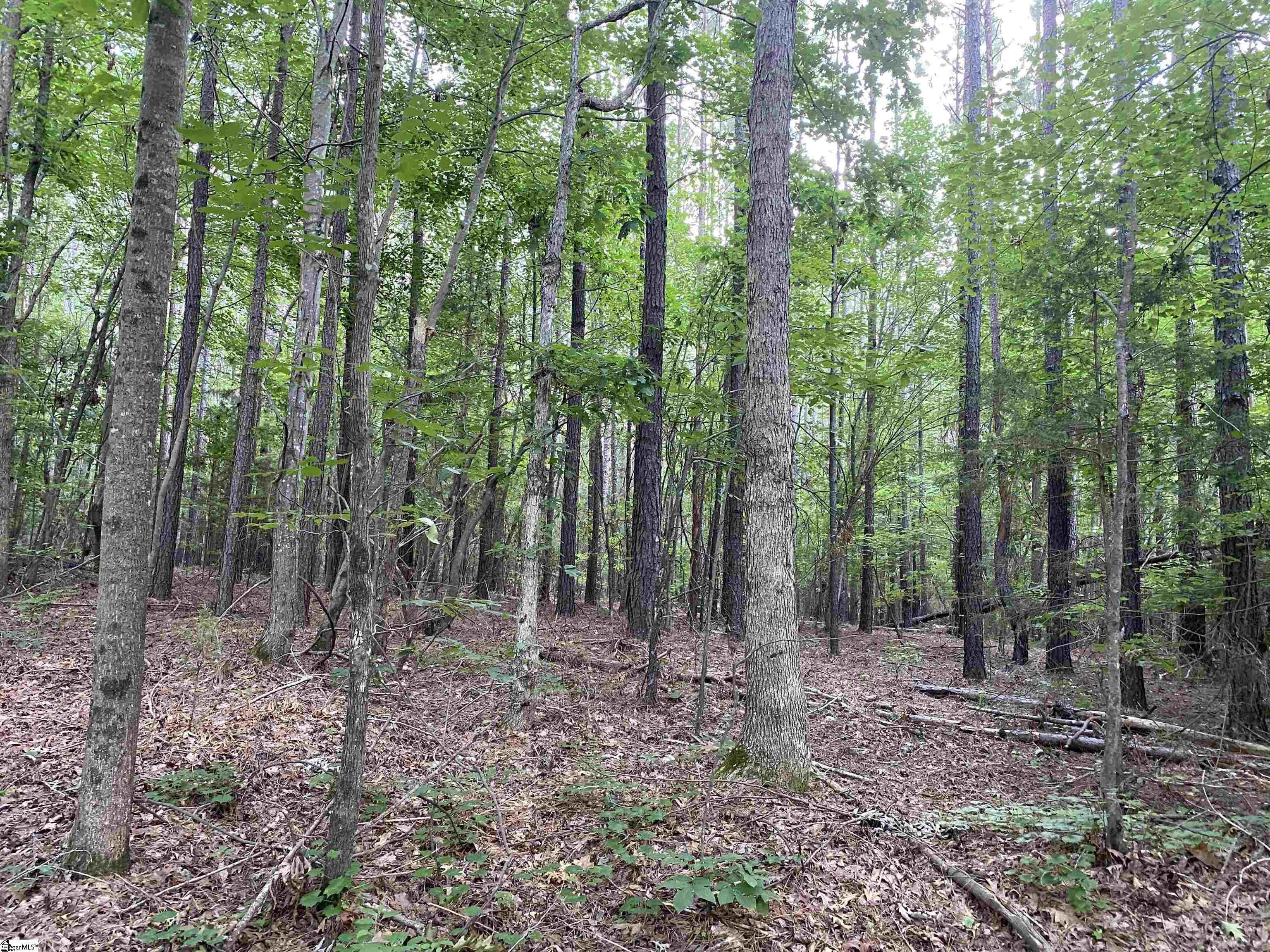 00 Indian Creek, Clinton, South Carolina image 27