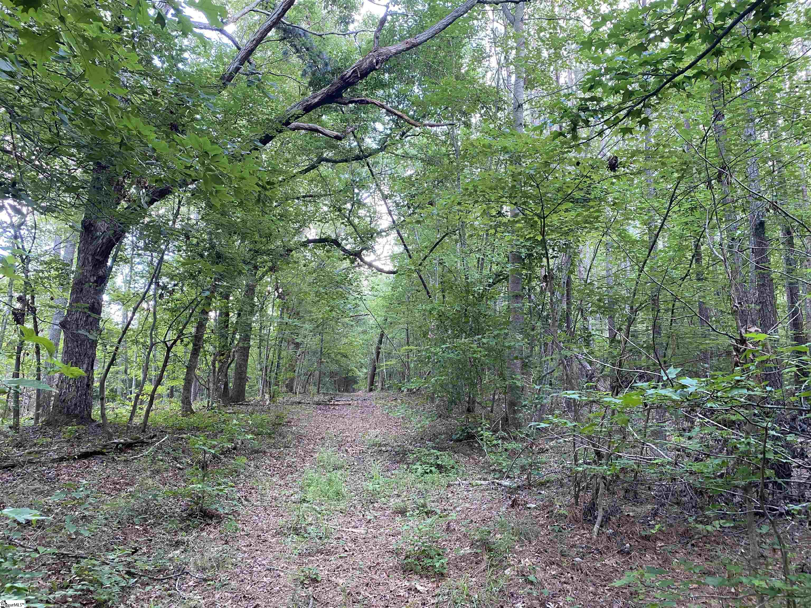 00 Indian Creek, Clinton, South Carolina image 28