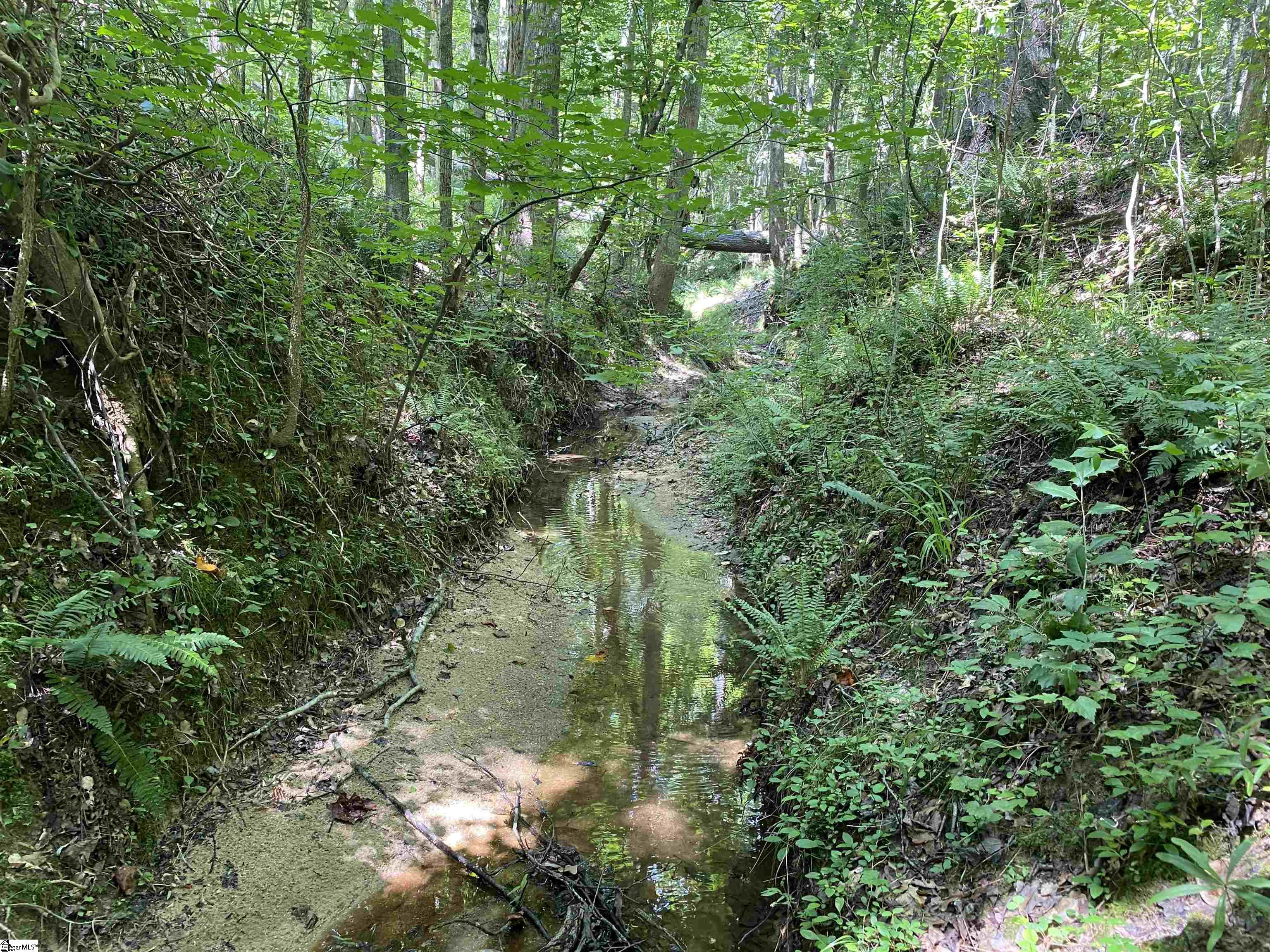 00 Indian Creek, Clinton, South Carolina image 4