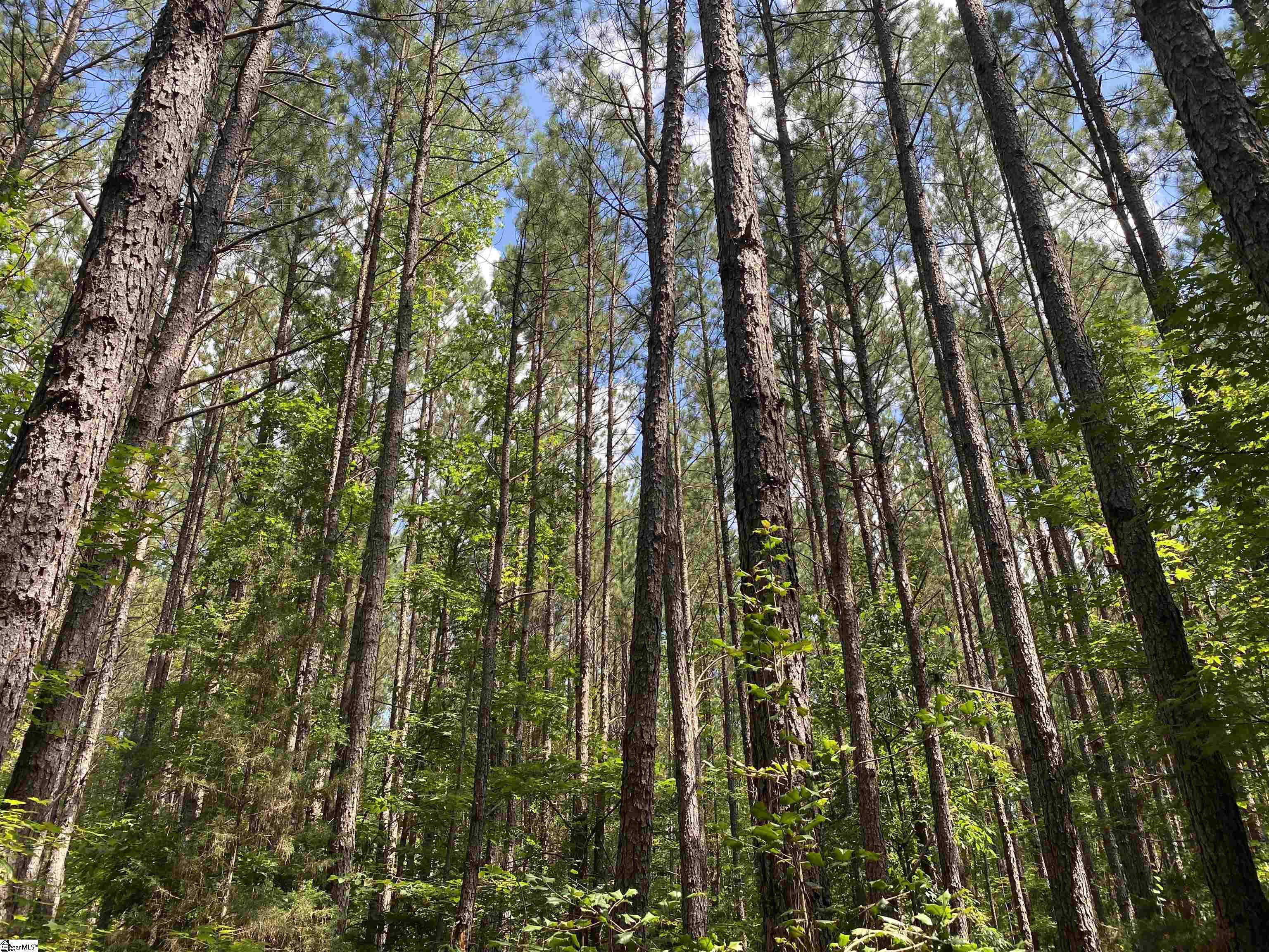 00 Indian Creek, Clinton, South Carolina image 5