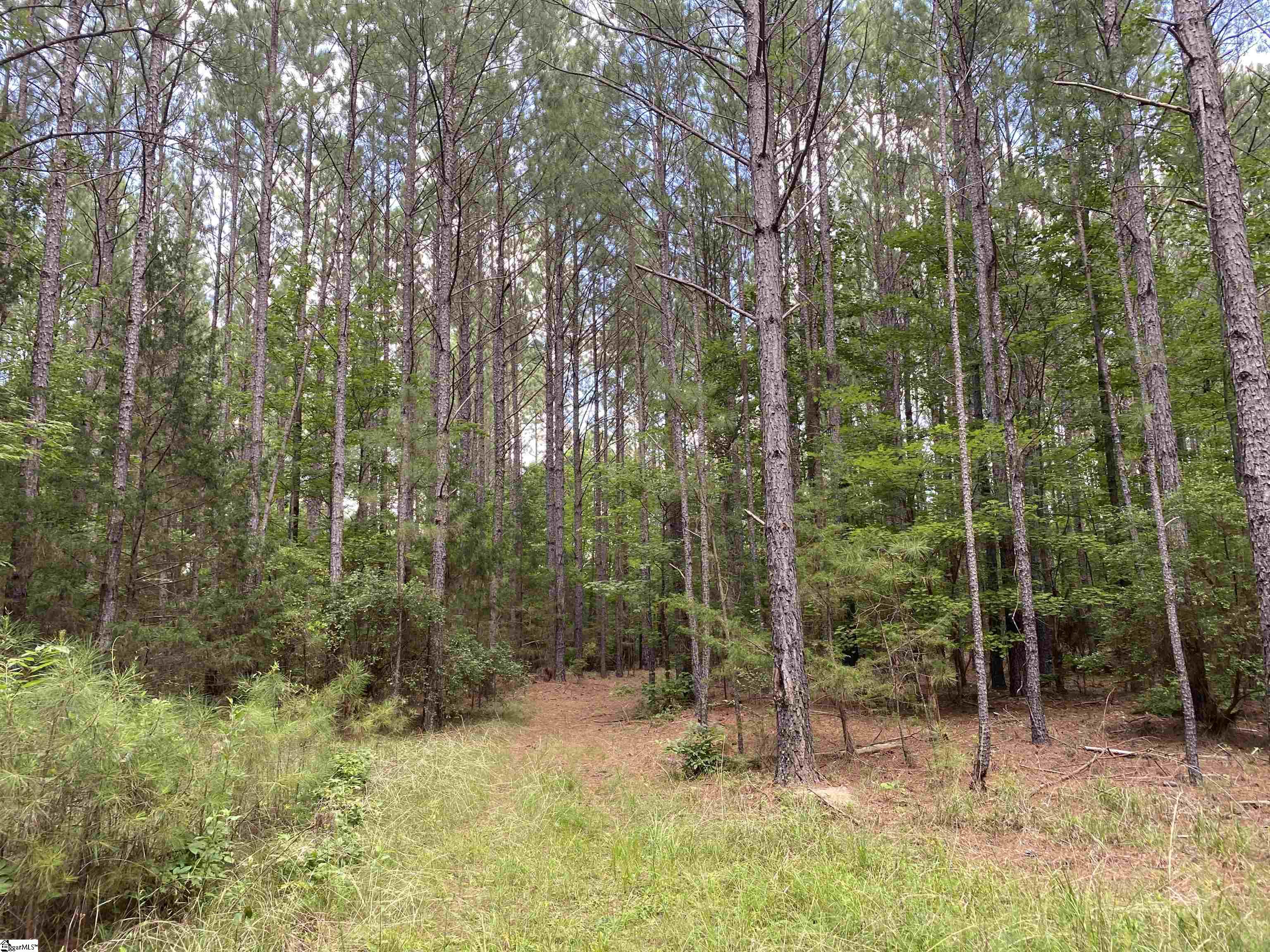 00 Indian Creek, Clinton, South Carolina image 6