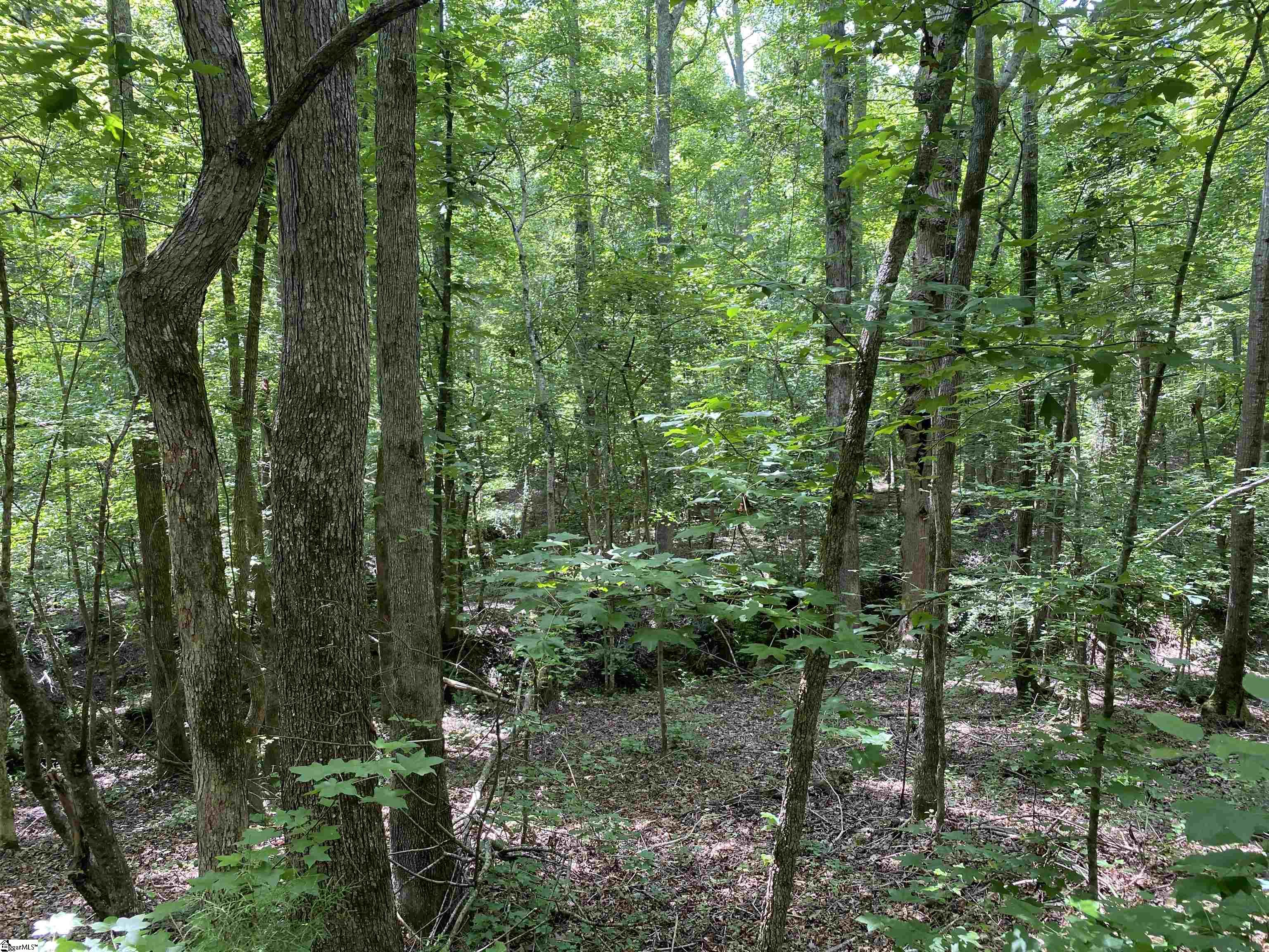 00 Indian Creek, Clinton, South Carolina image 9