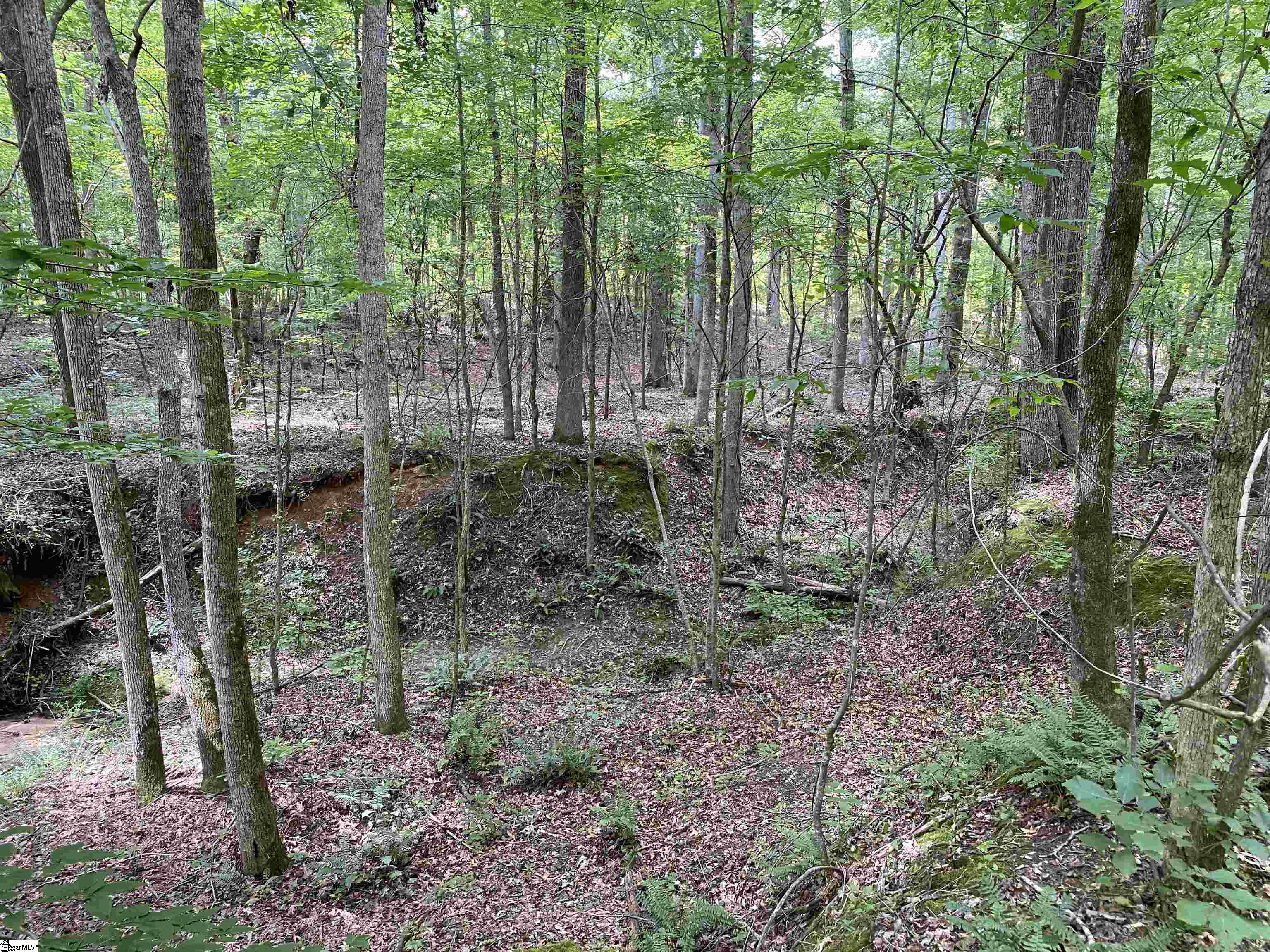 00 Indian Creek, Clinton, South Carolina image 10