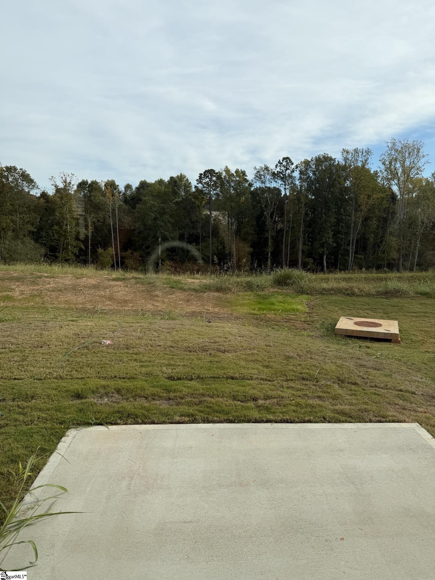 MLS #1562179 image #12