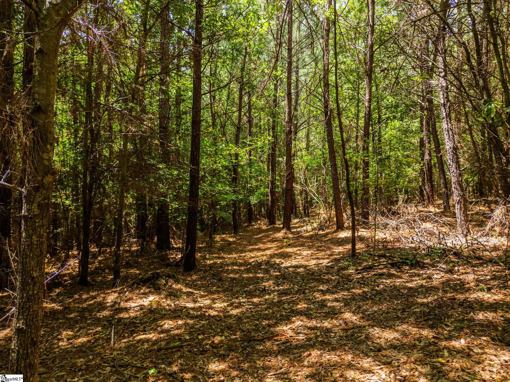 MLS #1562203 image #10