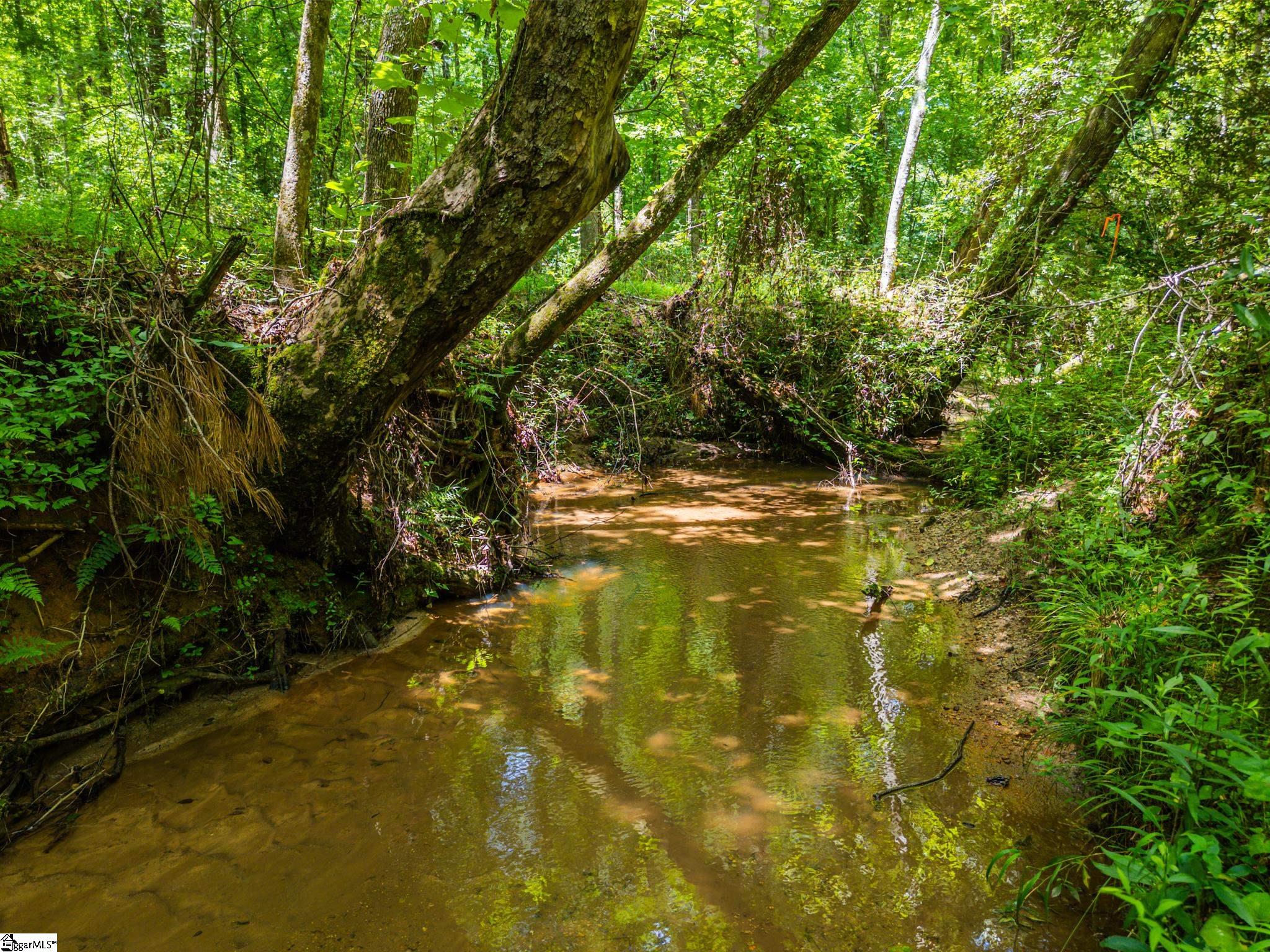 MLS #1562203 image #4