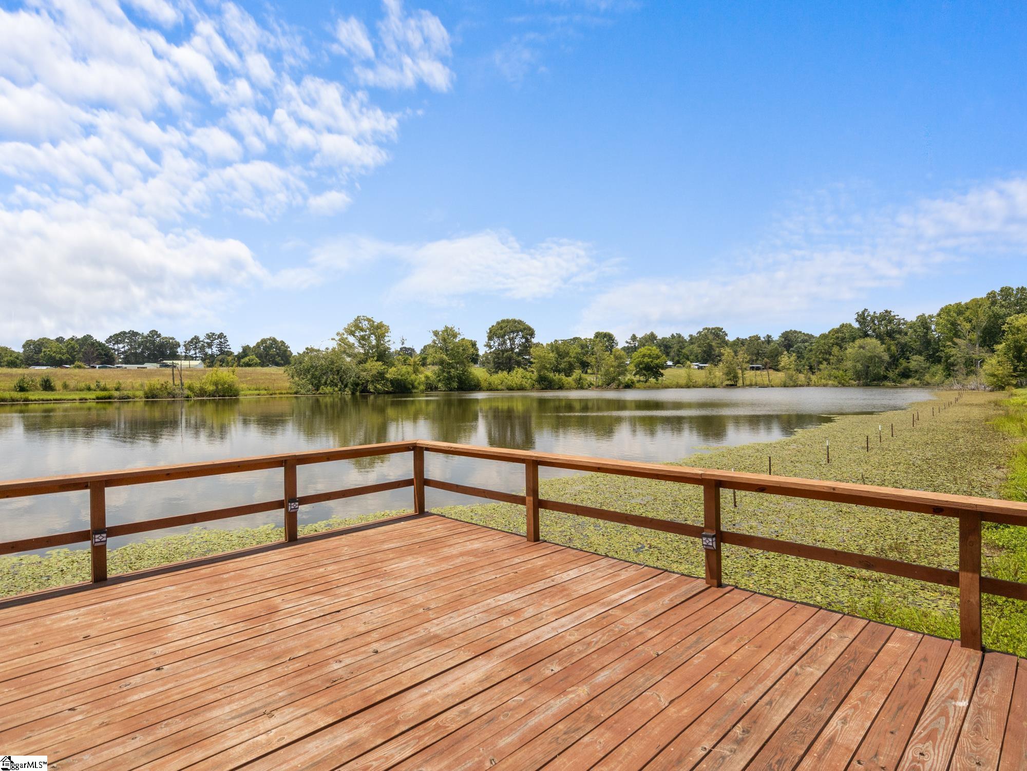 1080 Melvin Hill, Campobello, South Carolina image 3