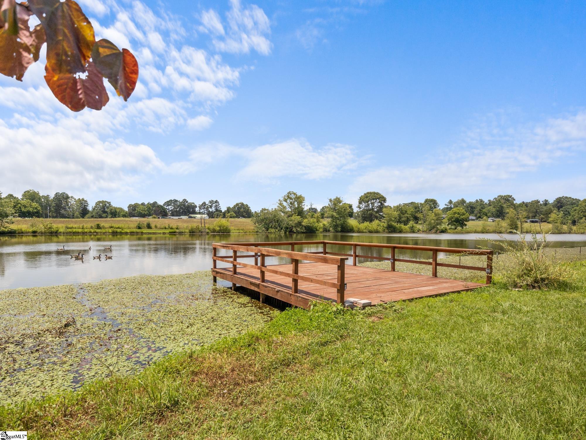 1080 Melvin Hill, Campobello, South Carolina image 35