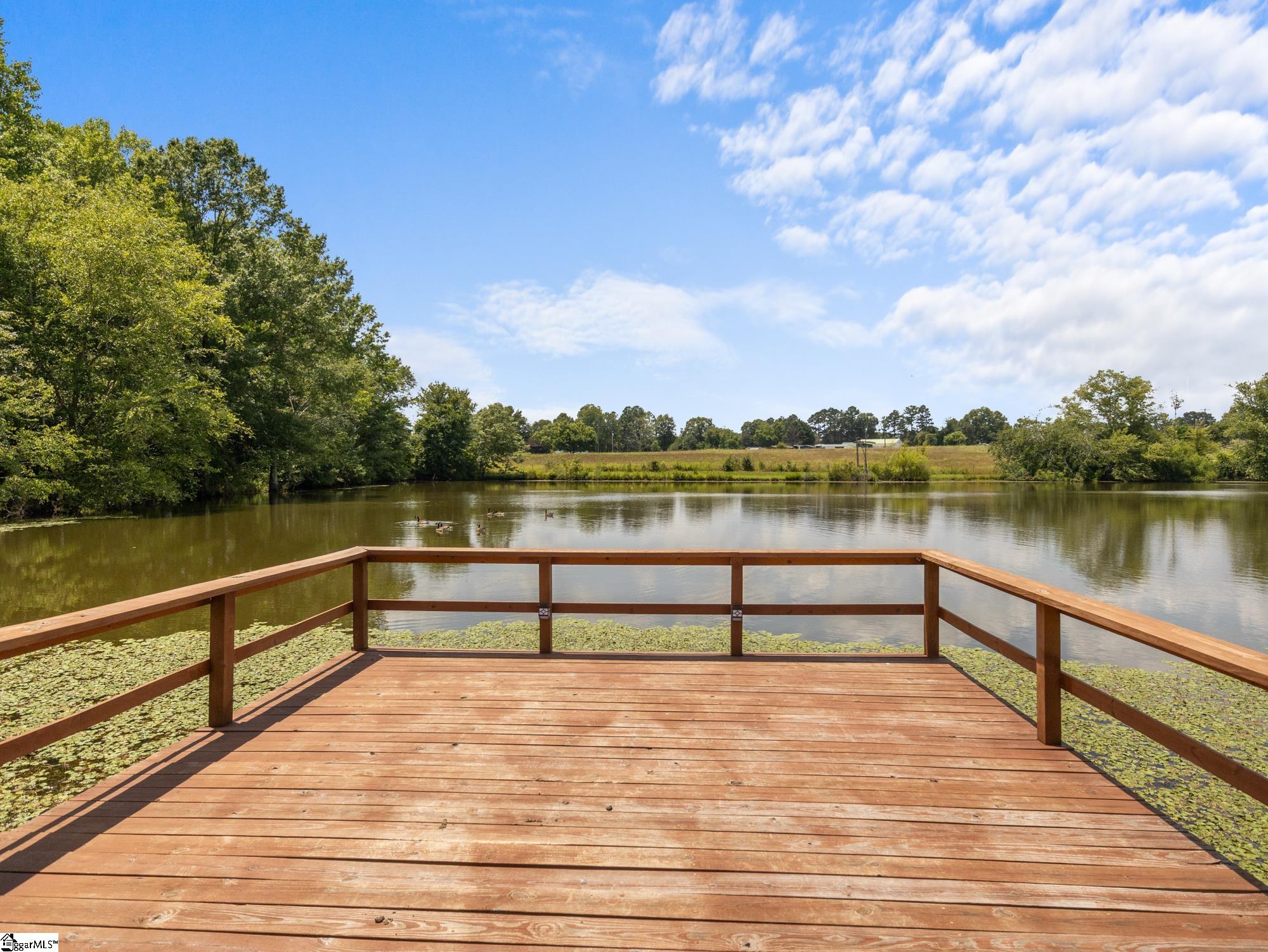 1080 Melvin Hill, Campobello, South Carolina image 36