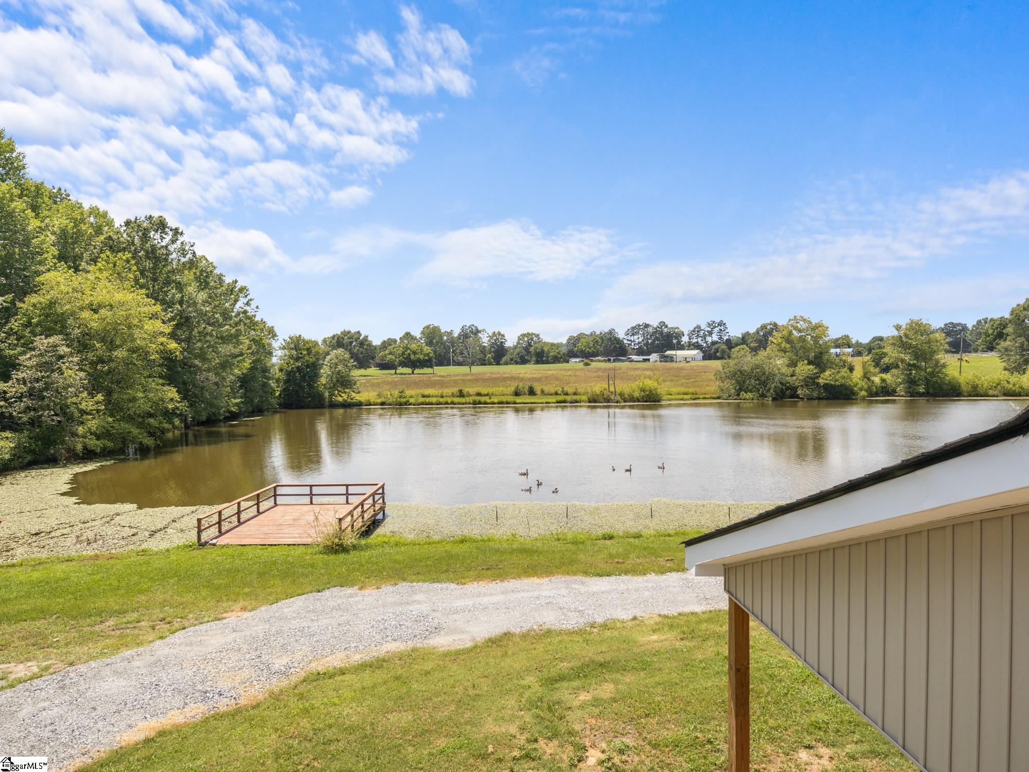 1080 Melvin Hill, Campobello, South Carolina image 37