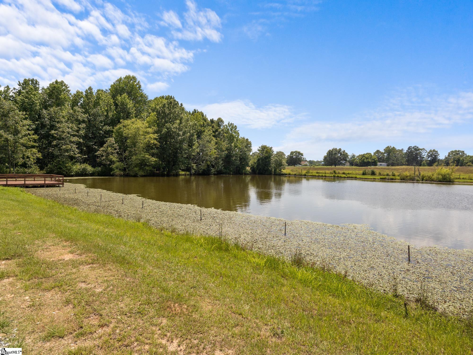 1080 Melvin Hill, Campobello, South Carolina image 39