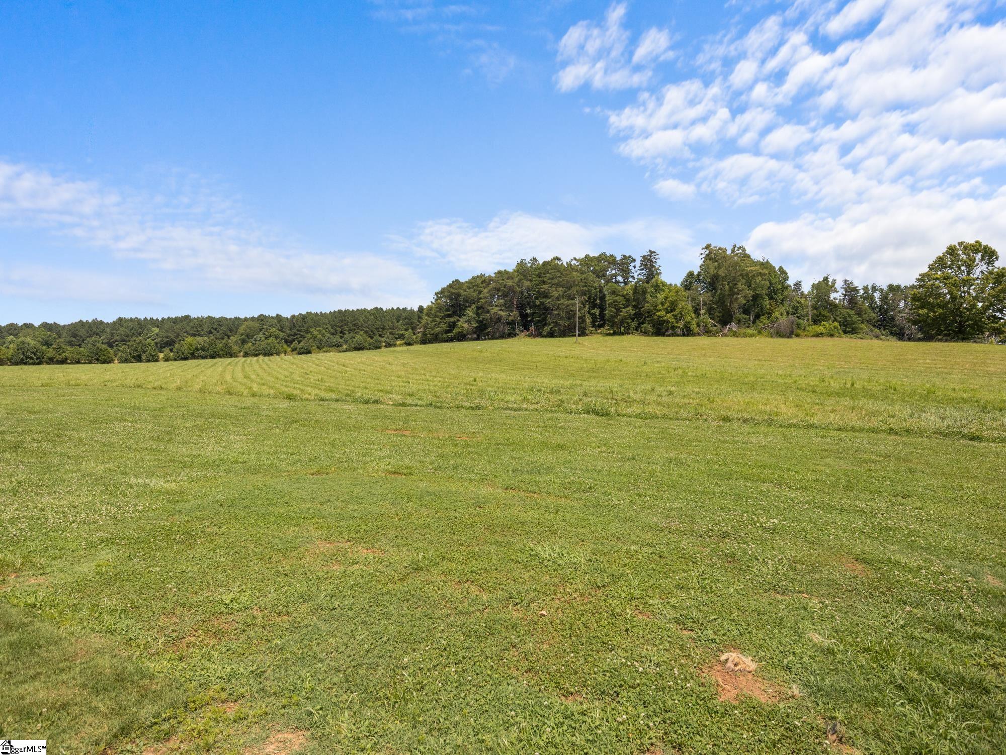1080 Melvin Hill, Campobello, South Carolina image 42