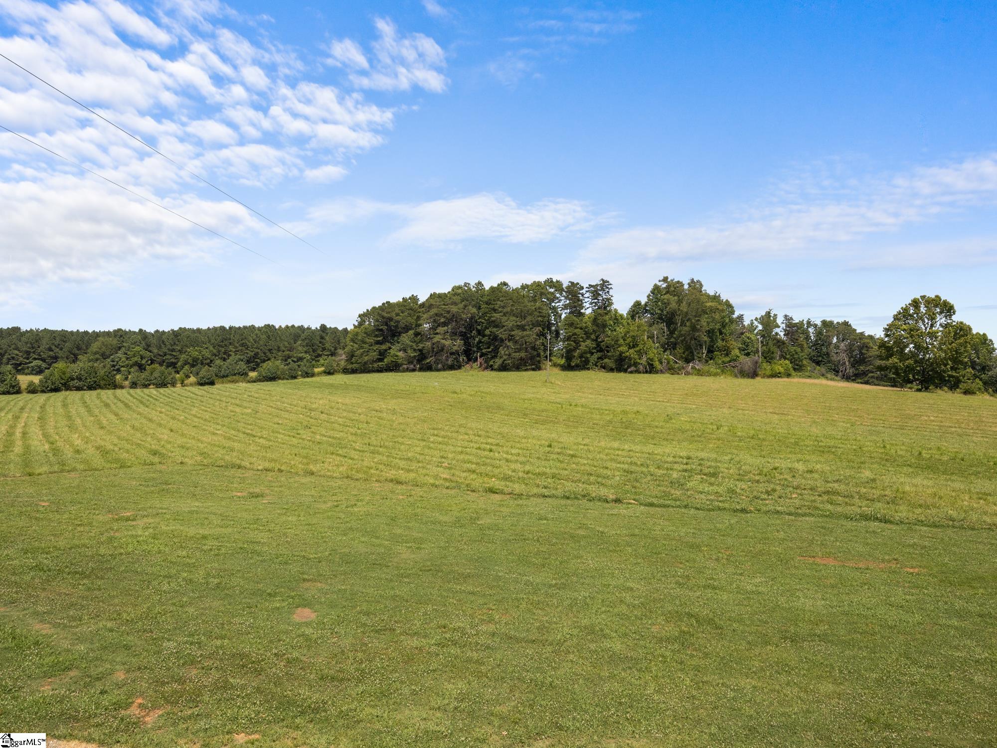1080 Melvin Hill, Campobello, South Carolina image 46