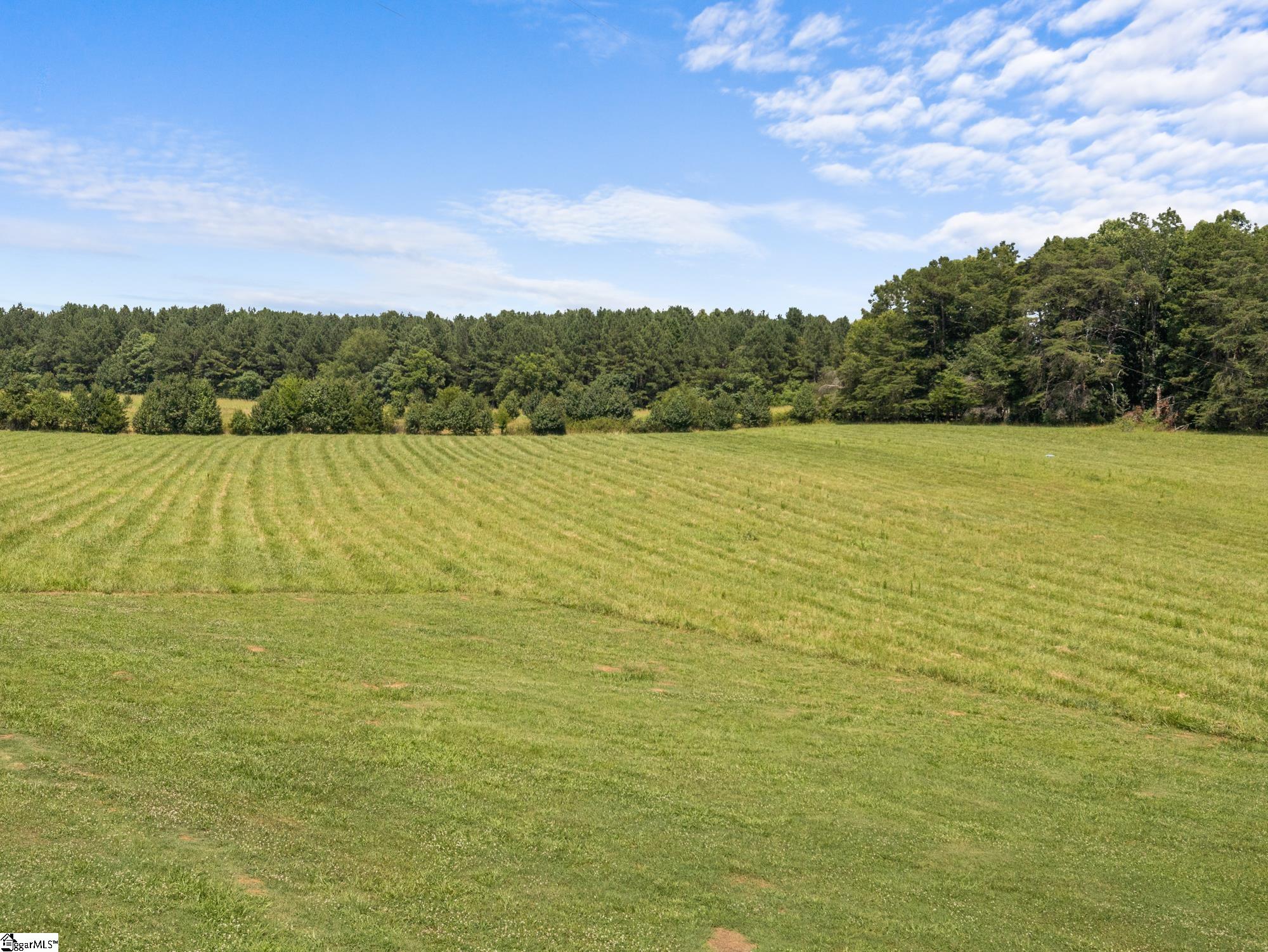1080 Melvin Hill, Campobello, South Carolina image 47