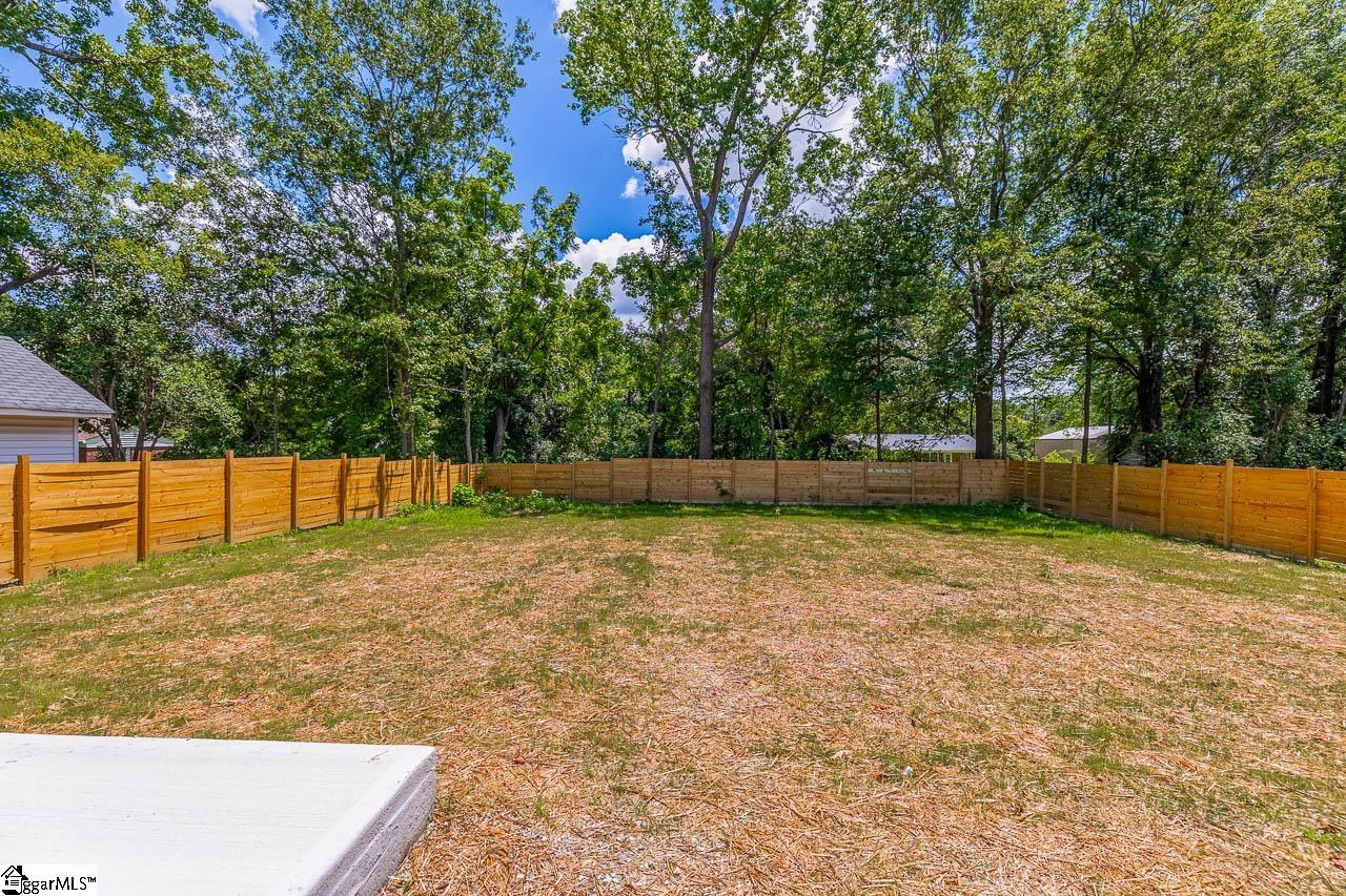 4 Kitty, Taylors, South Carolina image 31