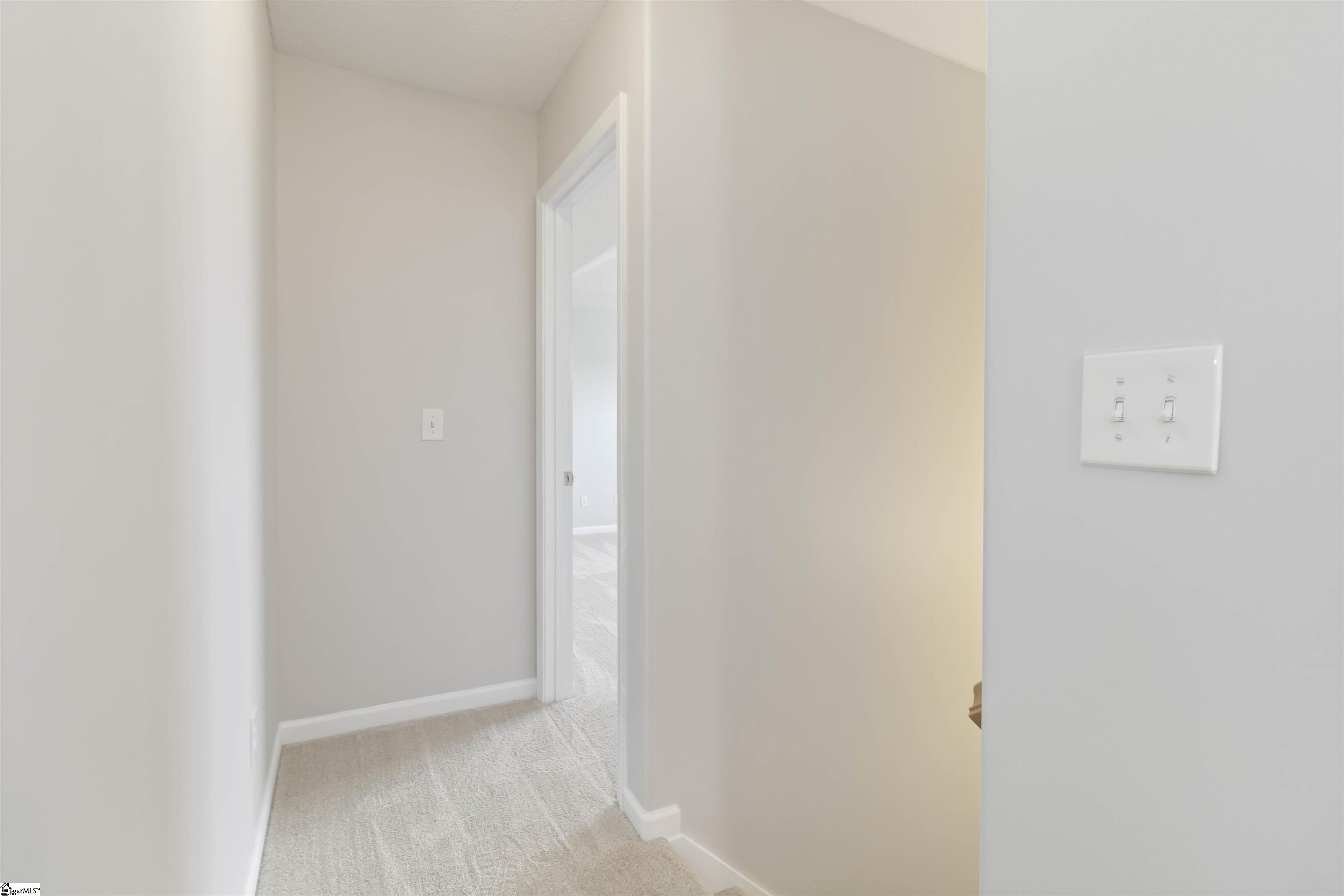 19 Tigris, Greenville, South Carolina image 22