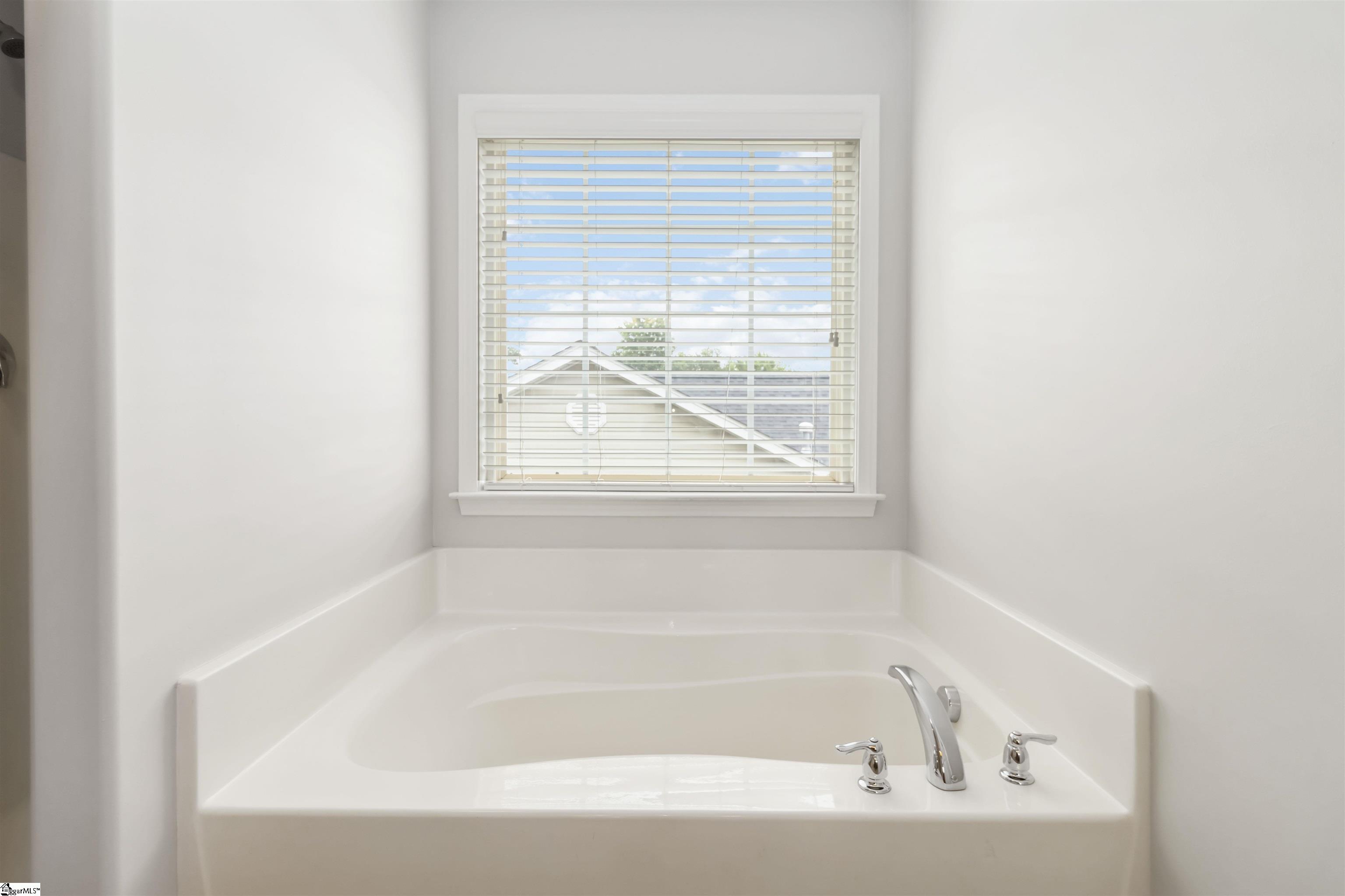 19 Tigris, Greenville, South Carolina image 28
