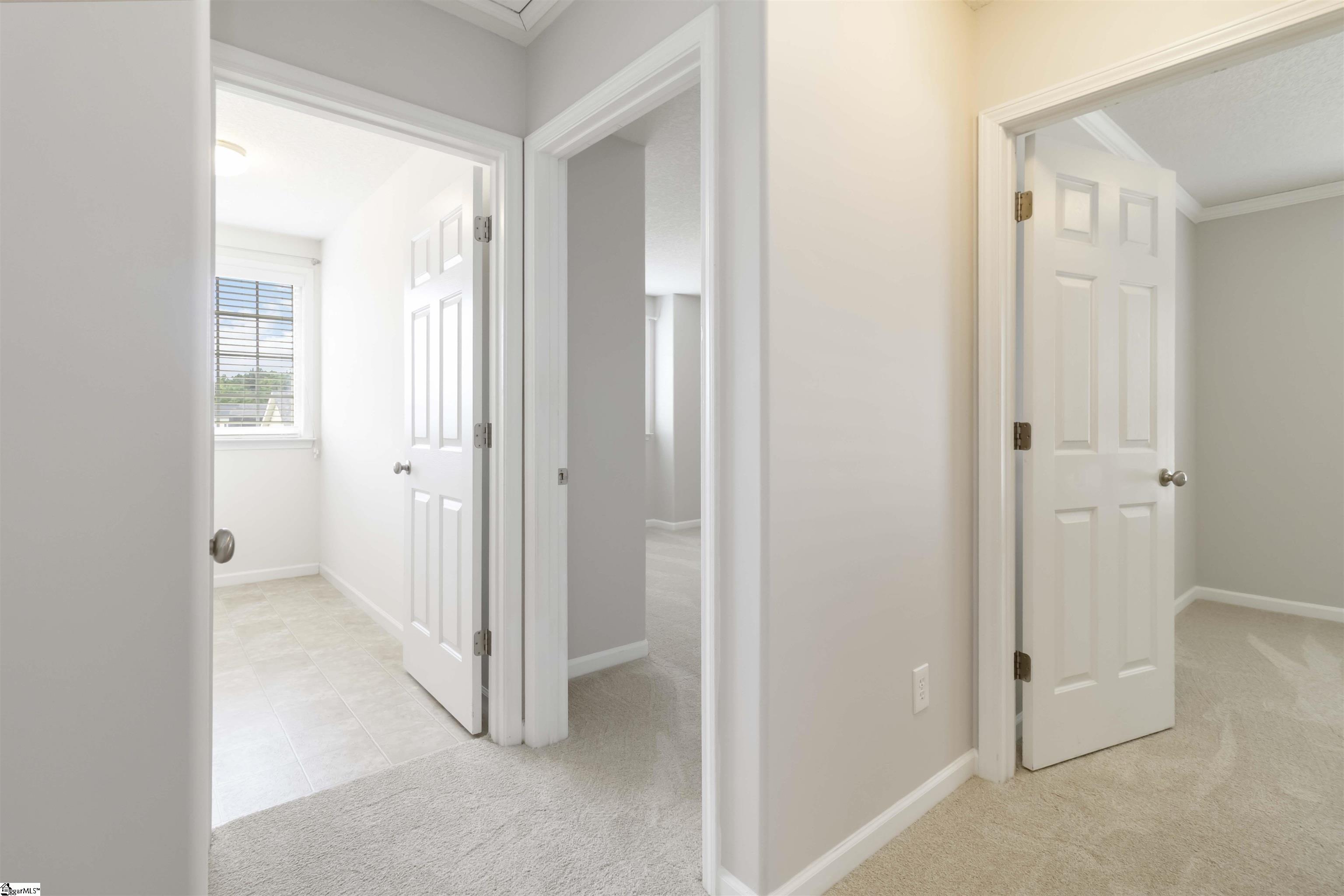 19 Tigris, Greenville, South Carolina image 29