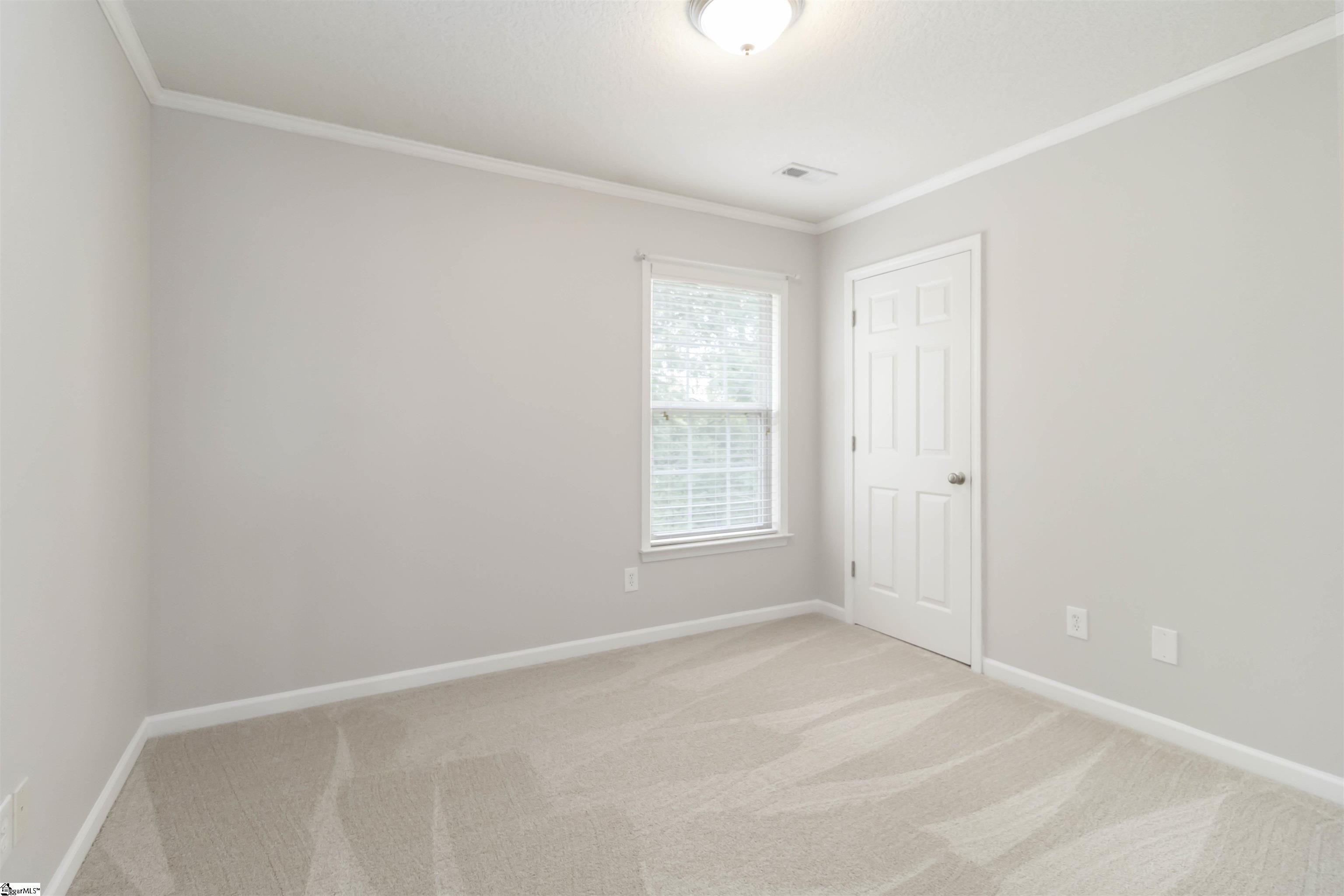 19 Tigris, Greenville, South Carolina image 31