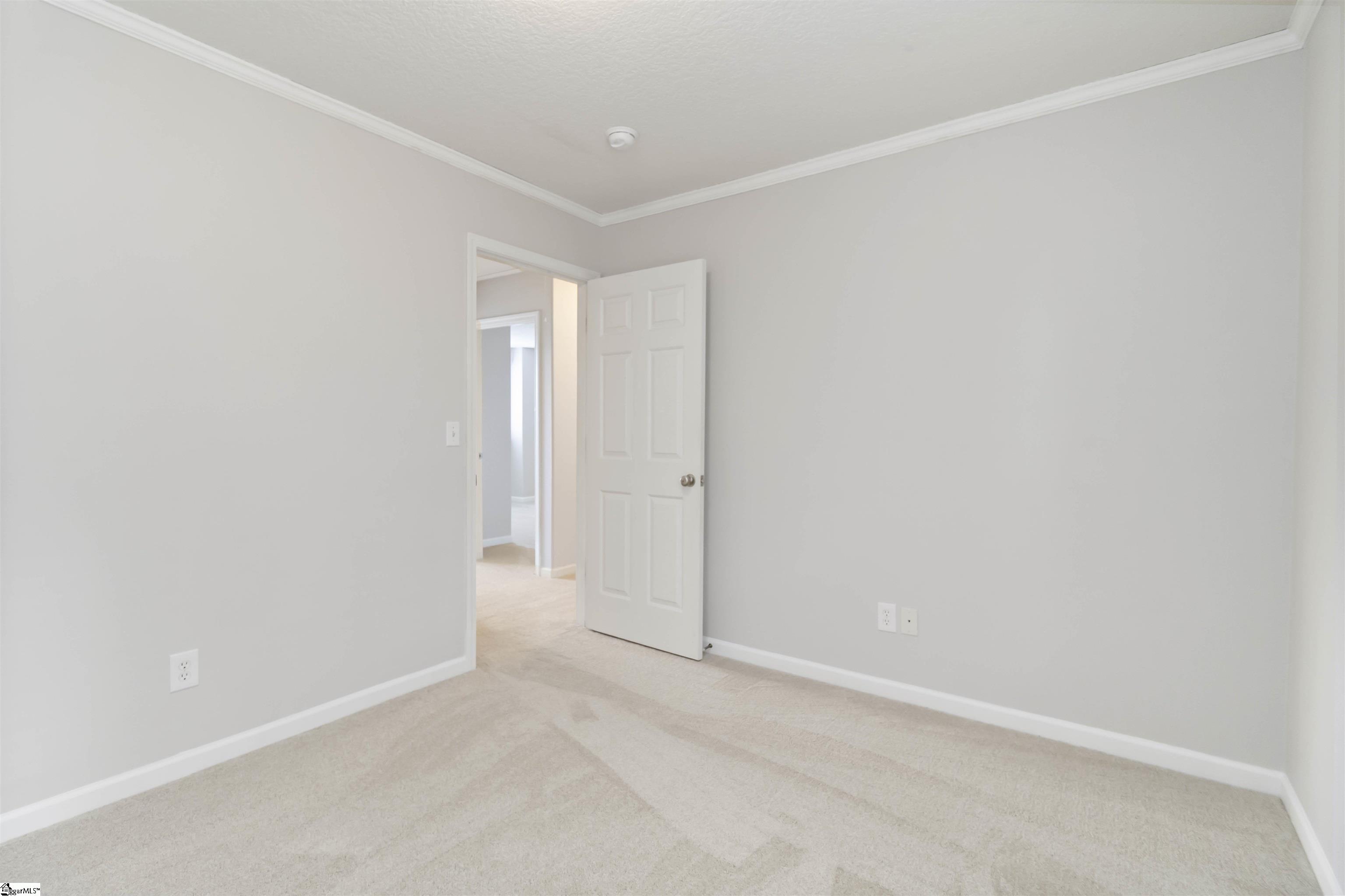 19 Tigris, Greenville, South Carolina image 32