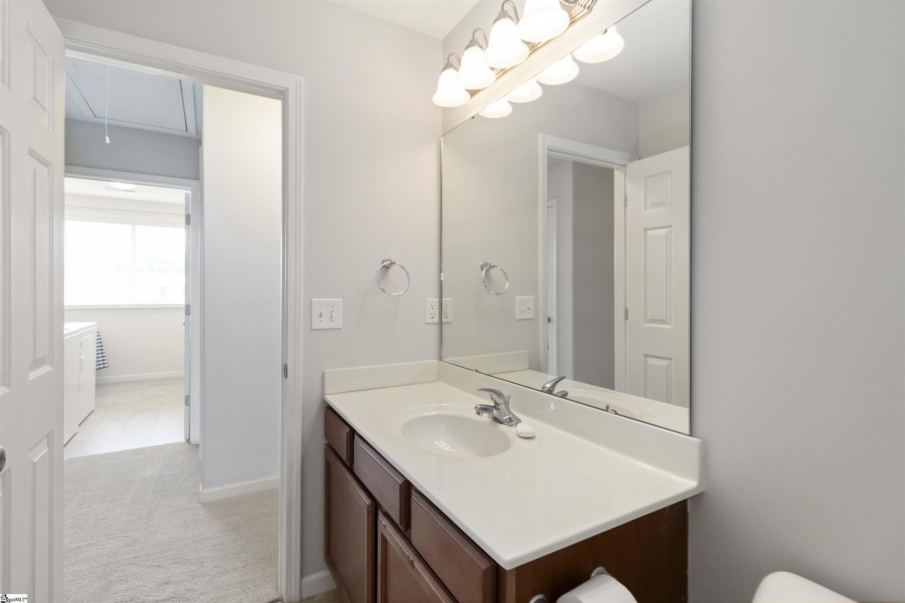 19 Tigris, Greenville, South Carolina image 34