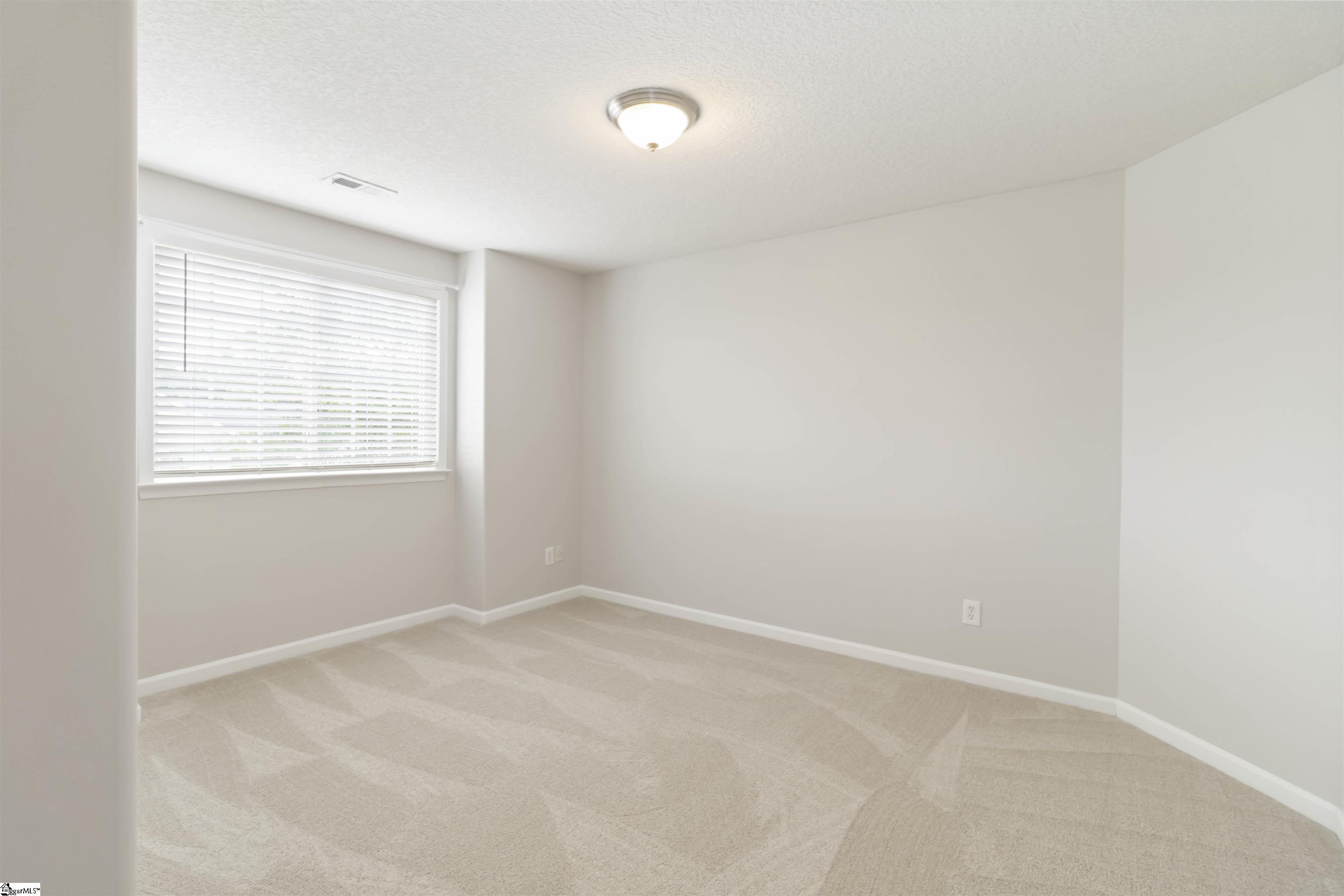 19 Tigris, Greenville, South Carolina image 35