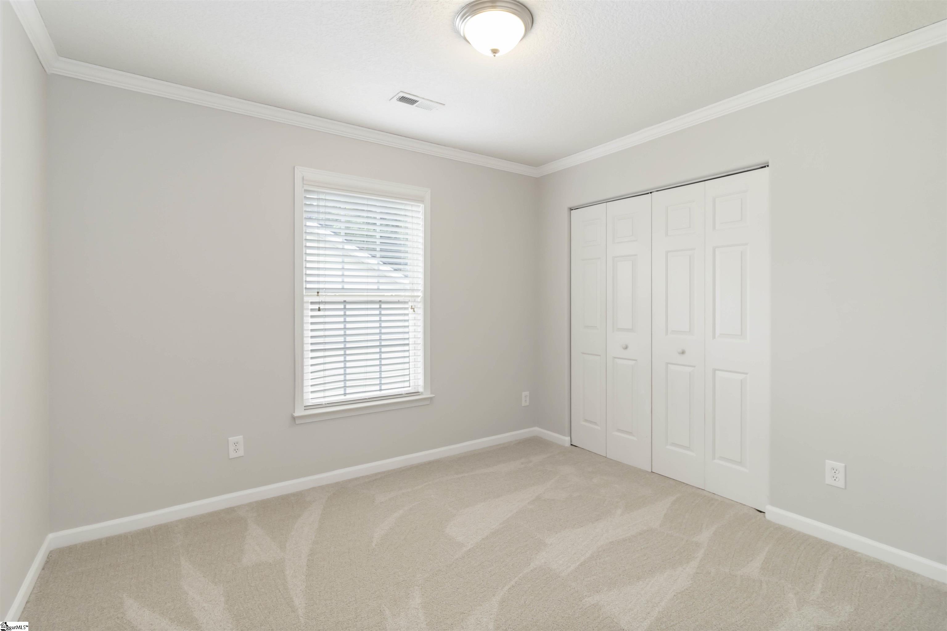 19 Tigris, Greenville, South Carolina image 38