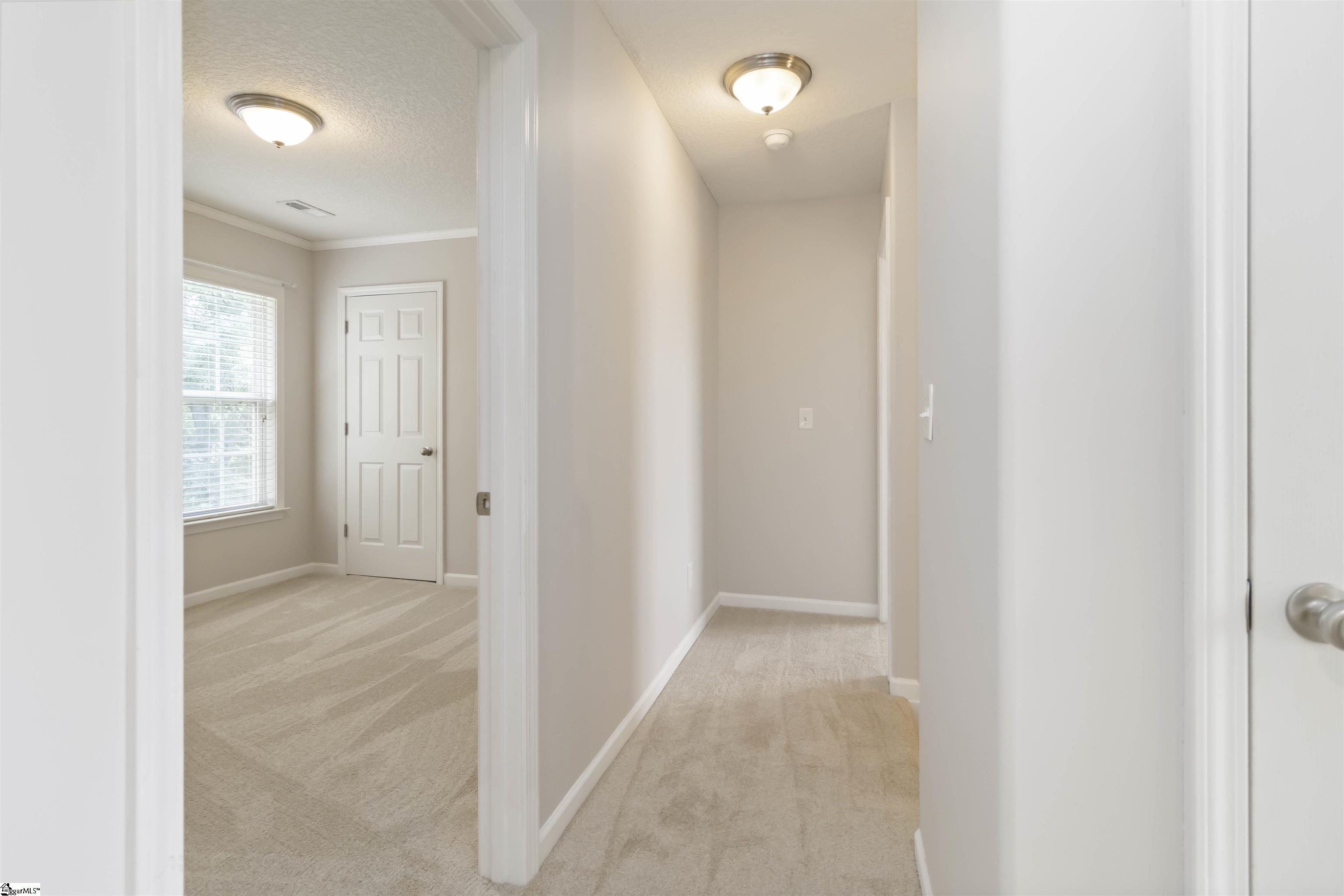 19 Tigris, Greenville, South Carolina image 39