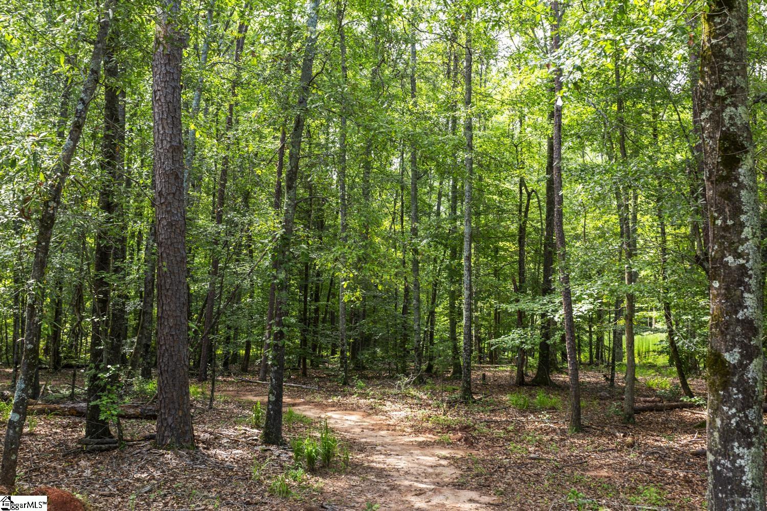 327 Grange Valley, Central, South Carolina image 50