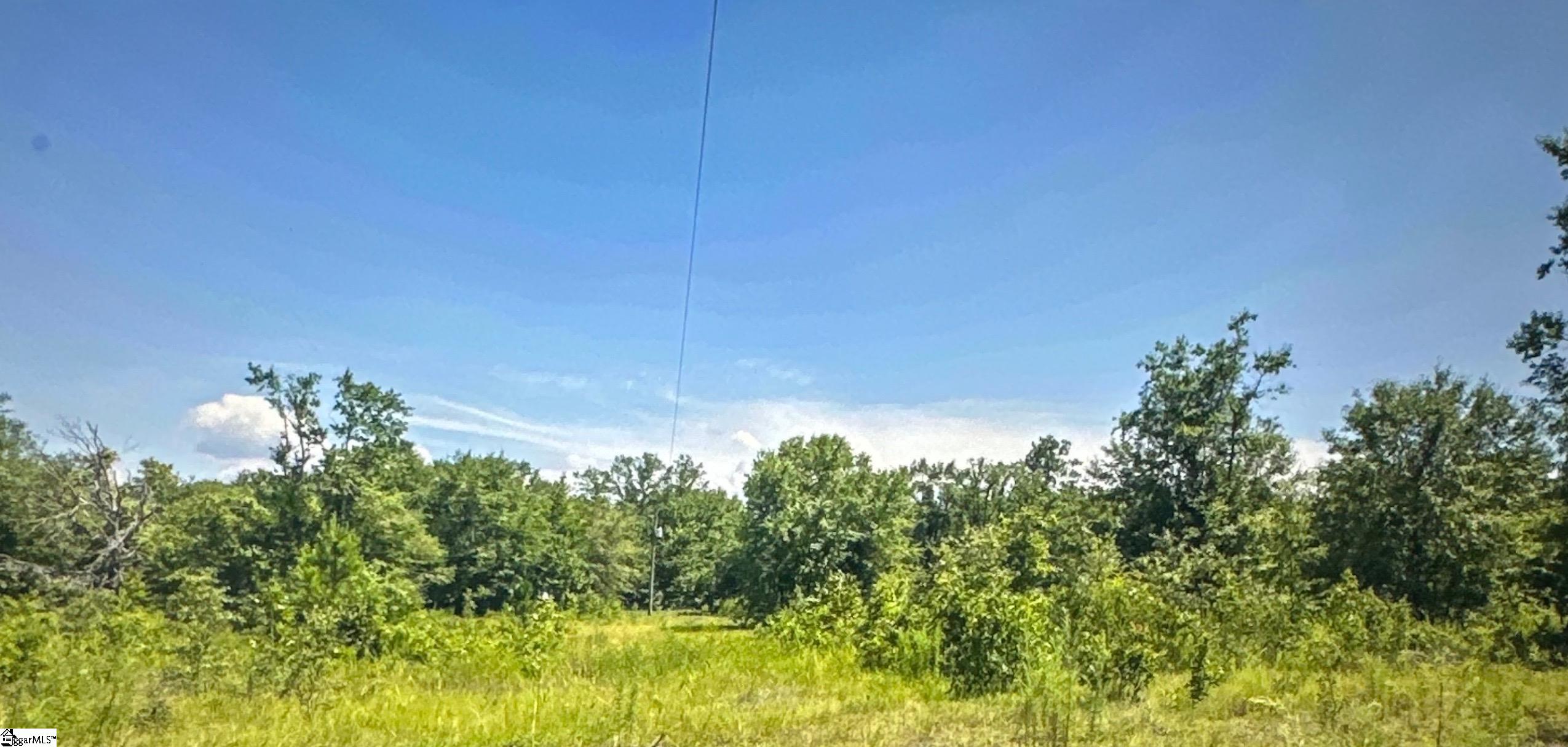 Balin, Williston, South Carolina image 1