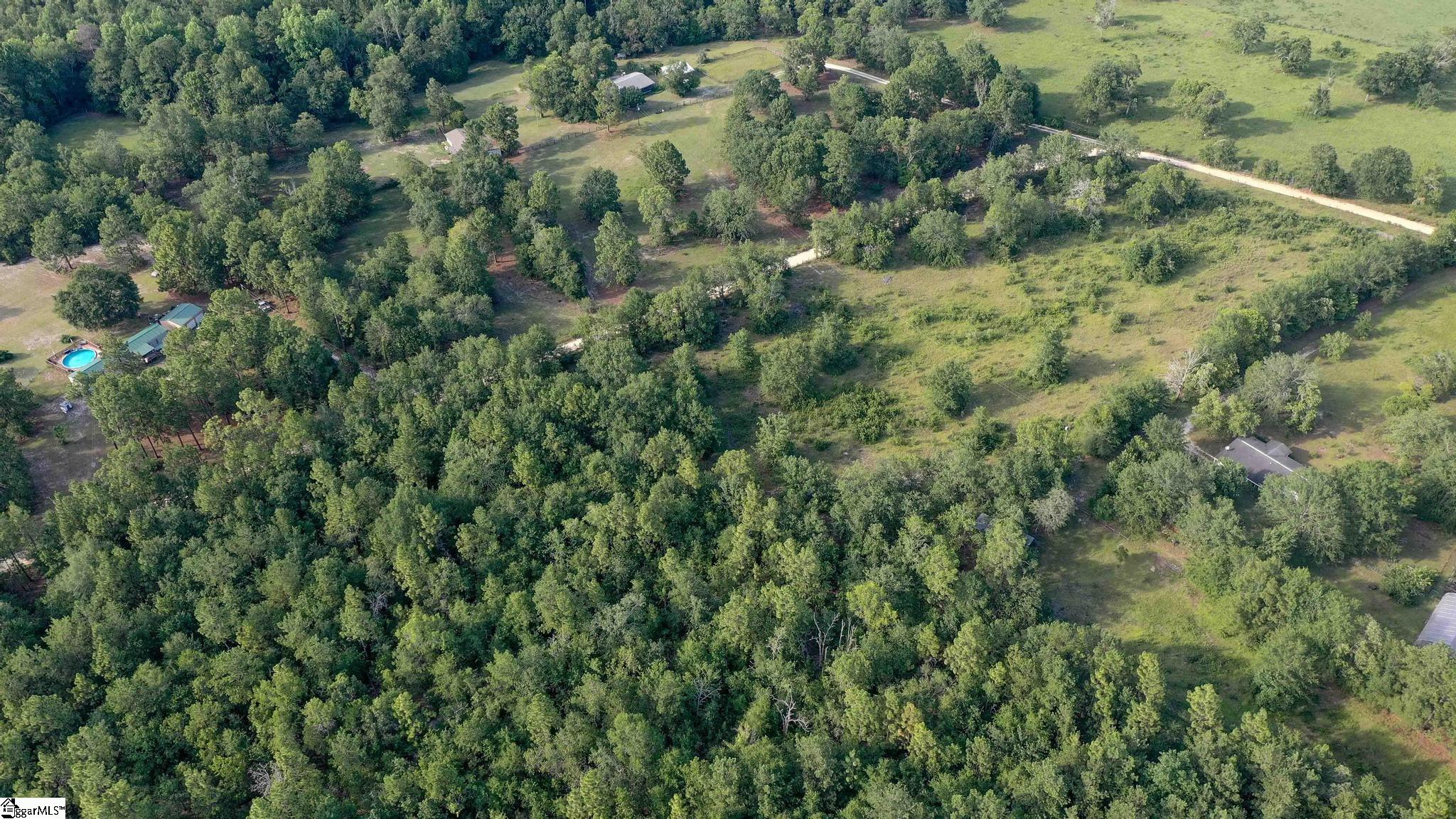 Balin, Williston, South Carolina image 11