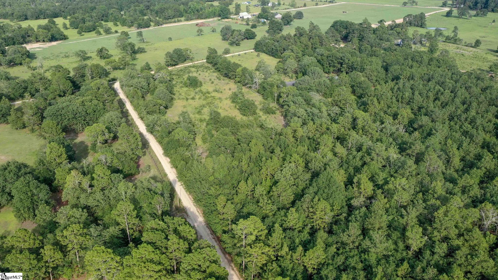 Balin, Williston, South Carolina image 13