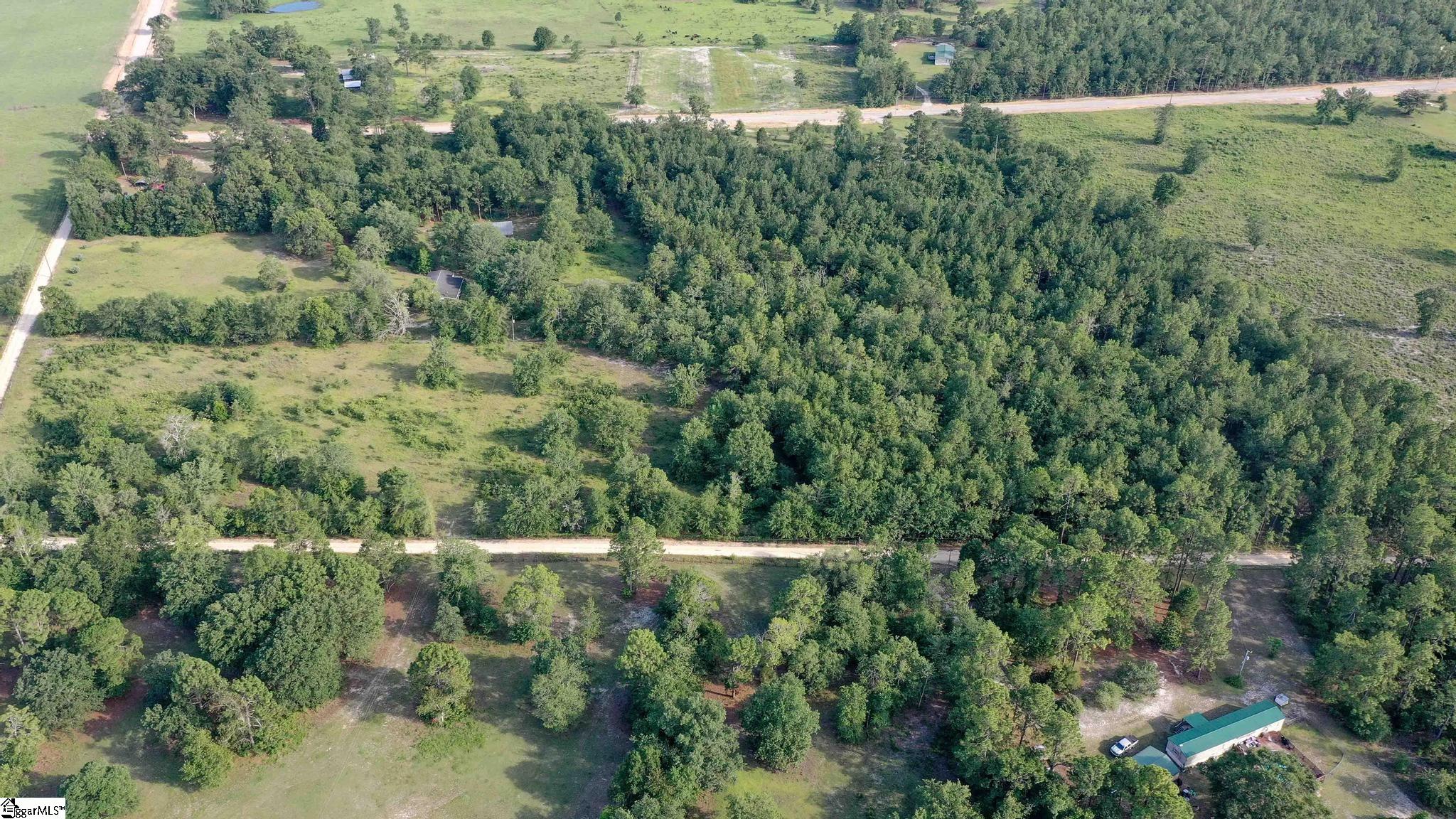 Balin, Williston, South Carolina image 4