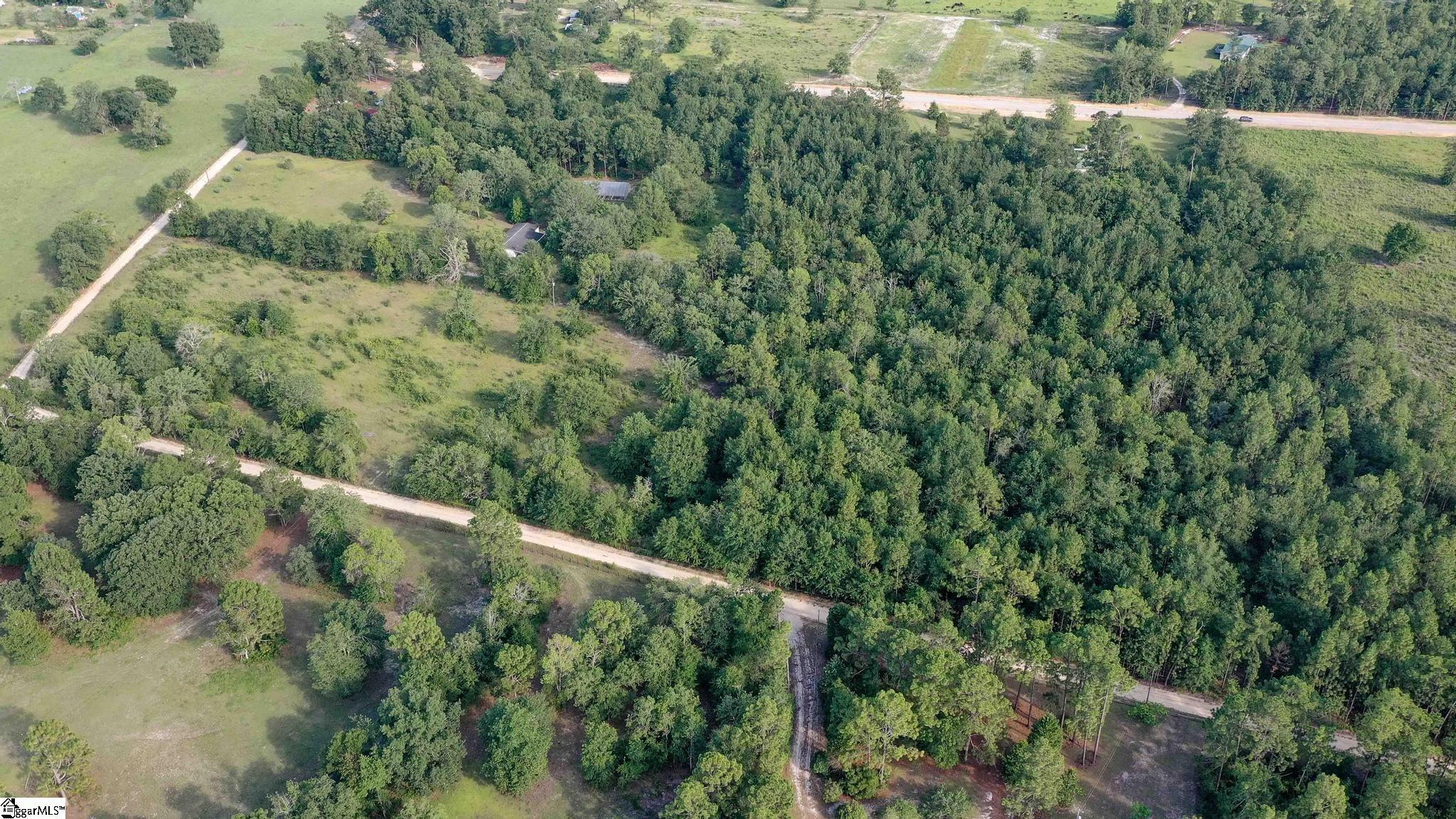 Balin, Williston, South Carolina image 5