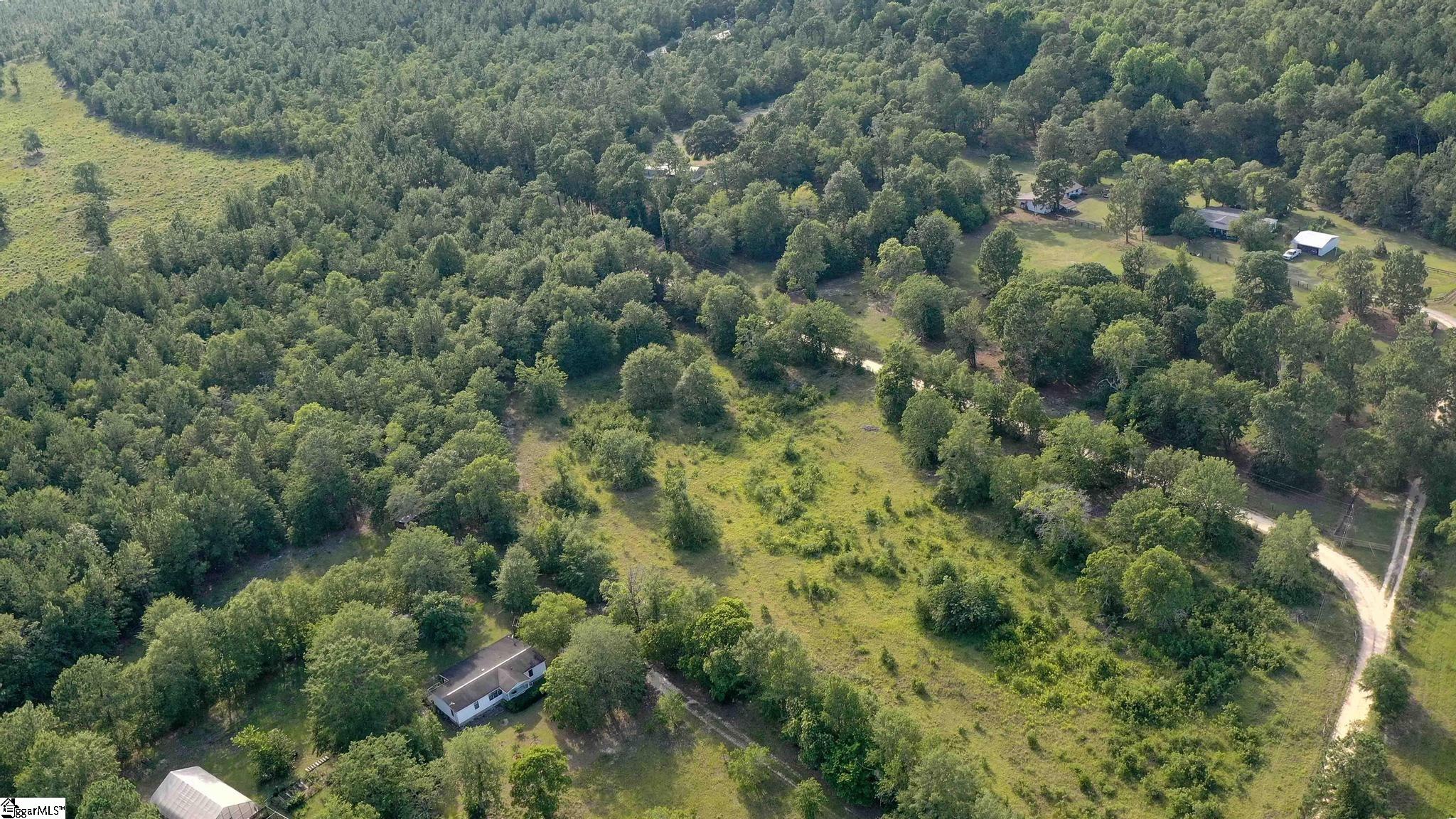 Balin, Williston, South Carolina image 9