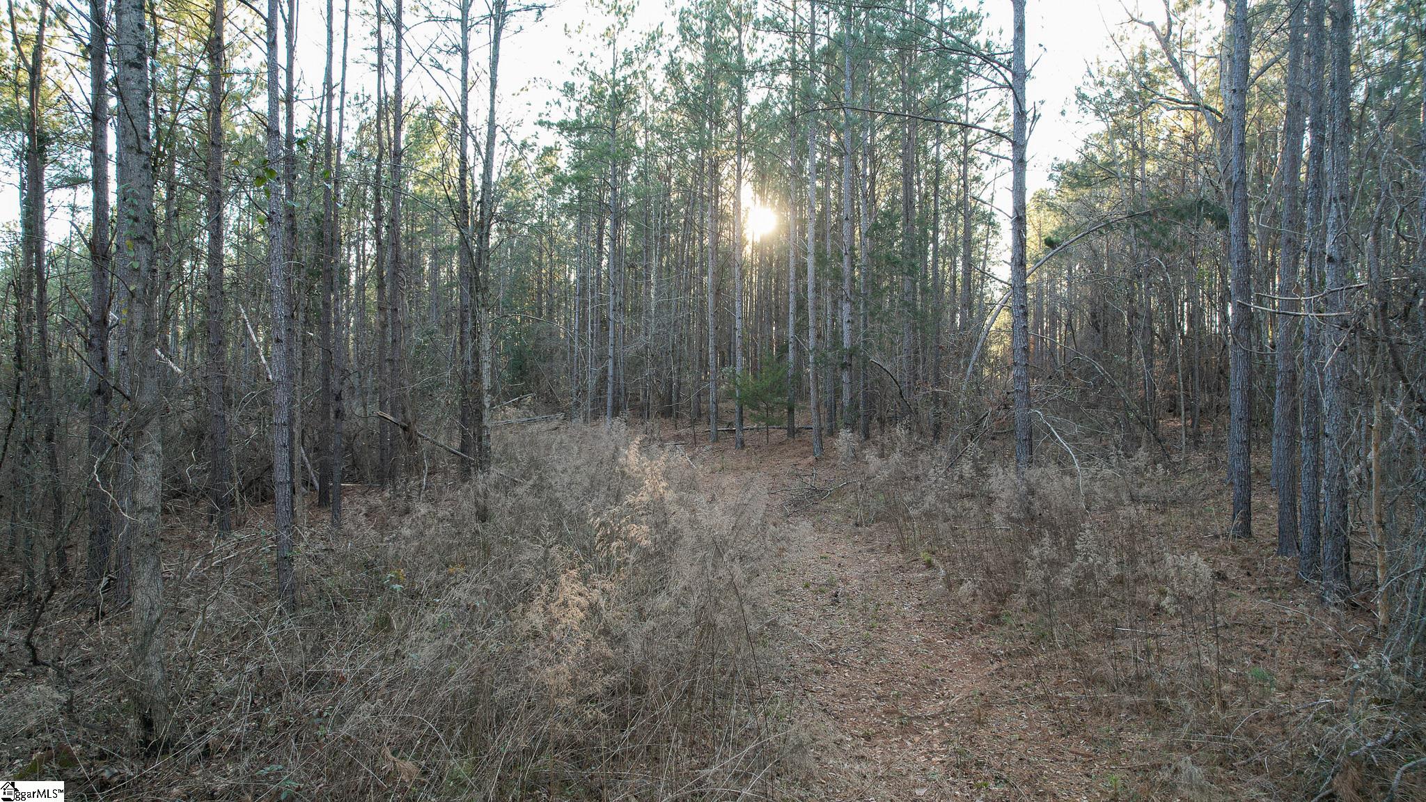 00 Jefferson Davis, Mountville, South Carolina image 8