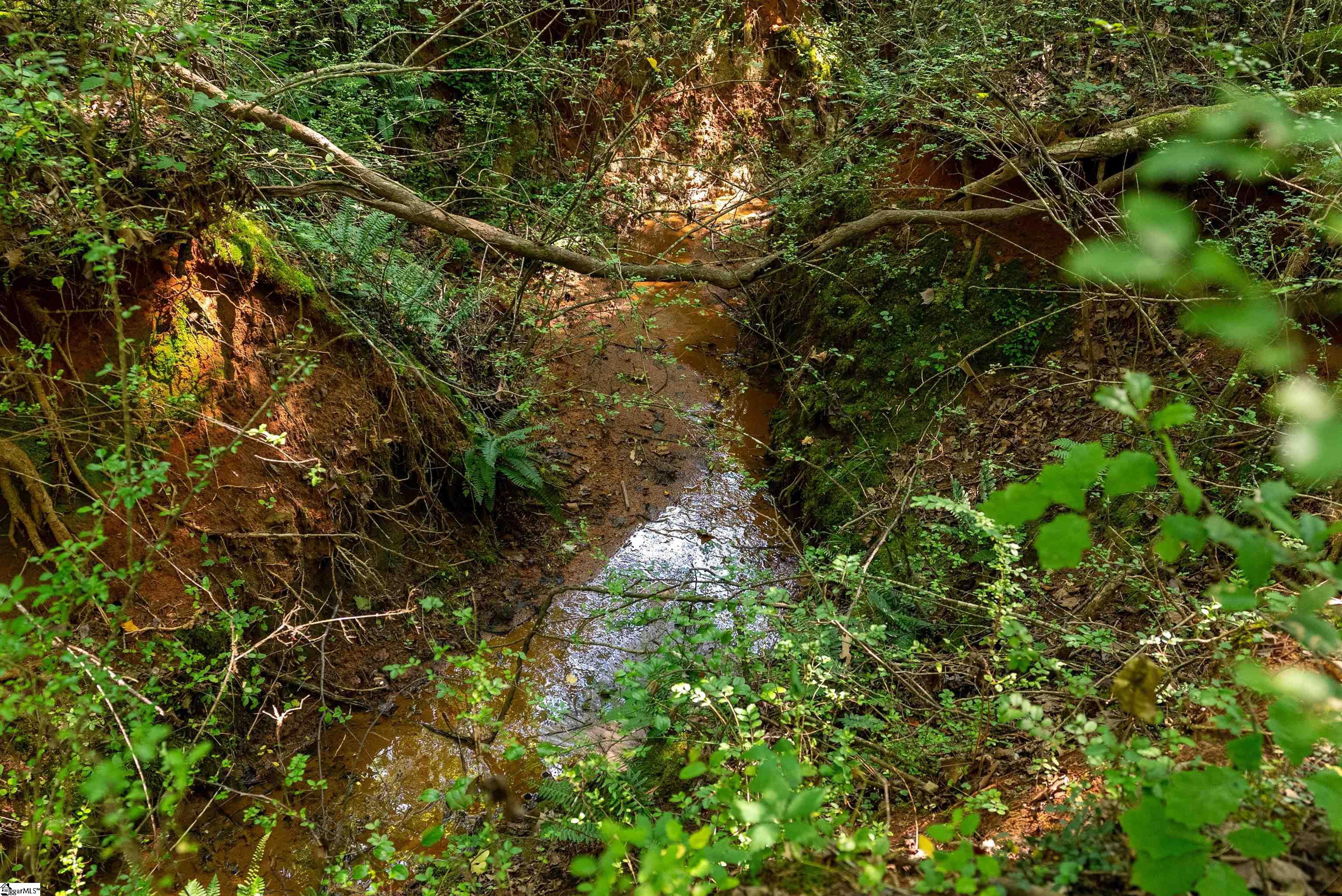 MLS #1562567 image #1