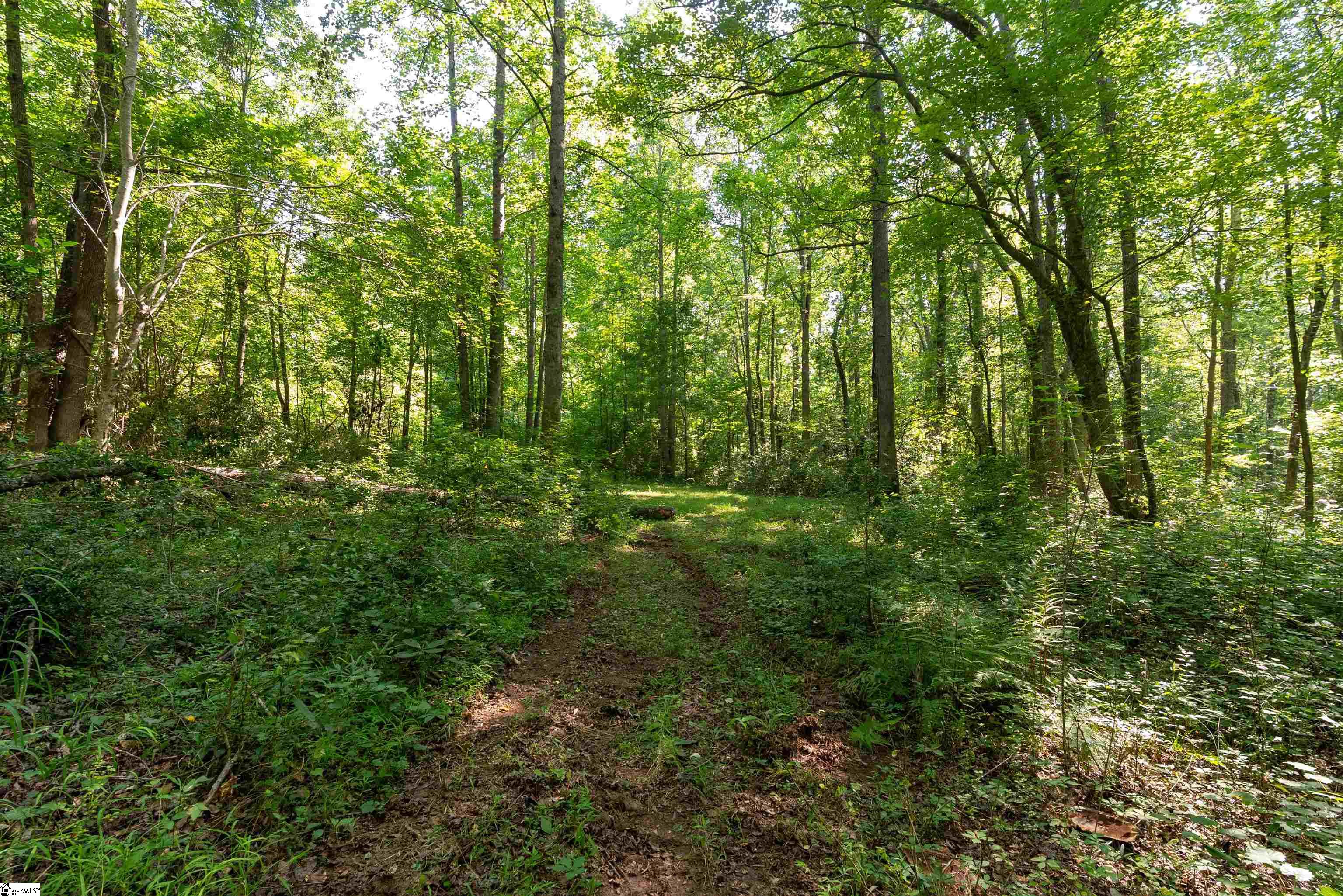 7004 Mountain View, Taylors, South Carolina image 11