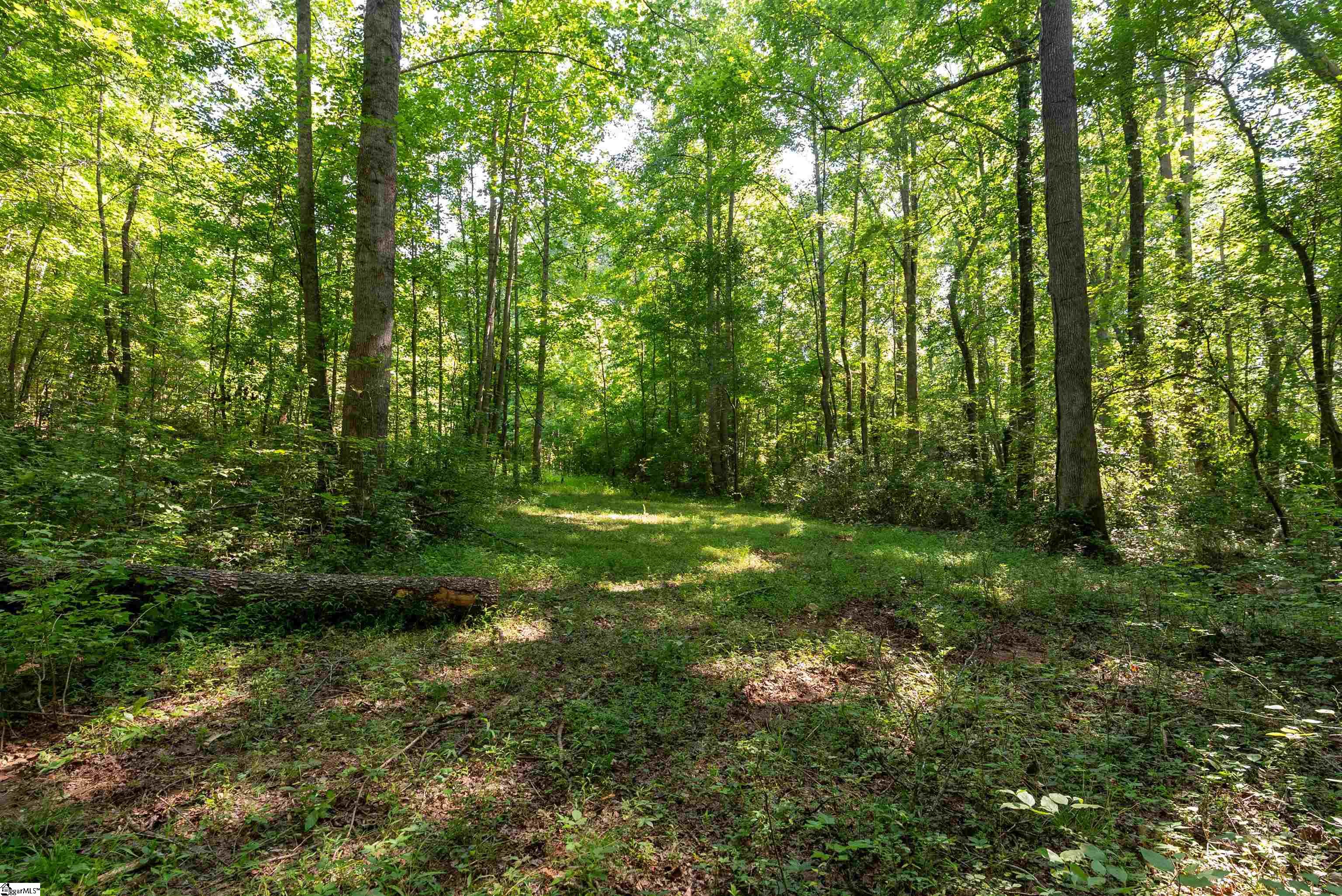 7004 Mountain View, Taylors, South Carolina image 12