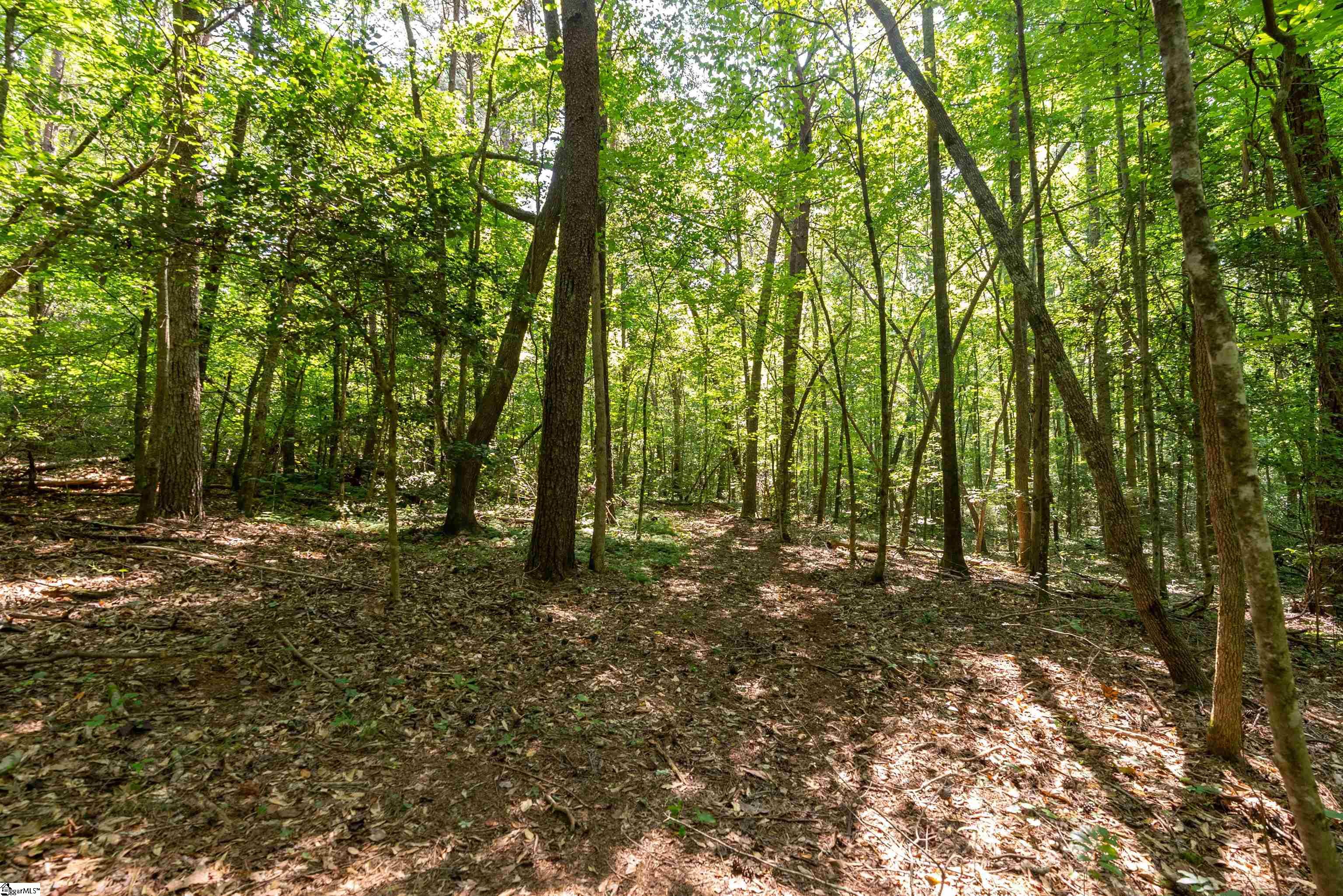 7004 Mountain View, Taylors, South Carolina image 13
