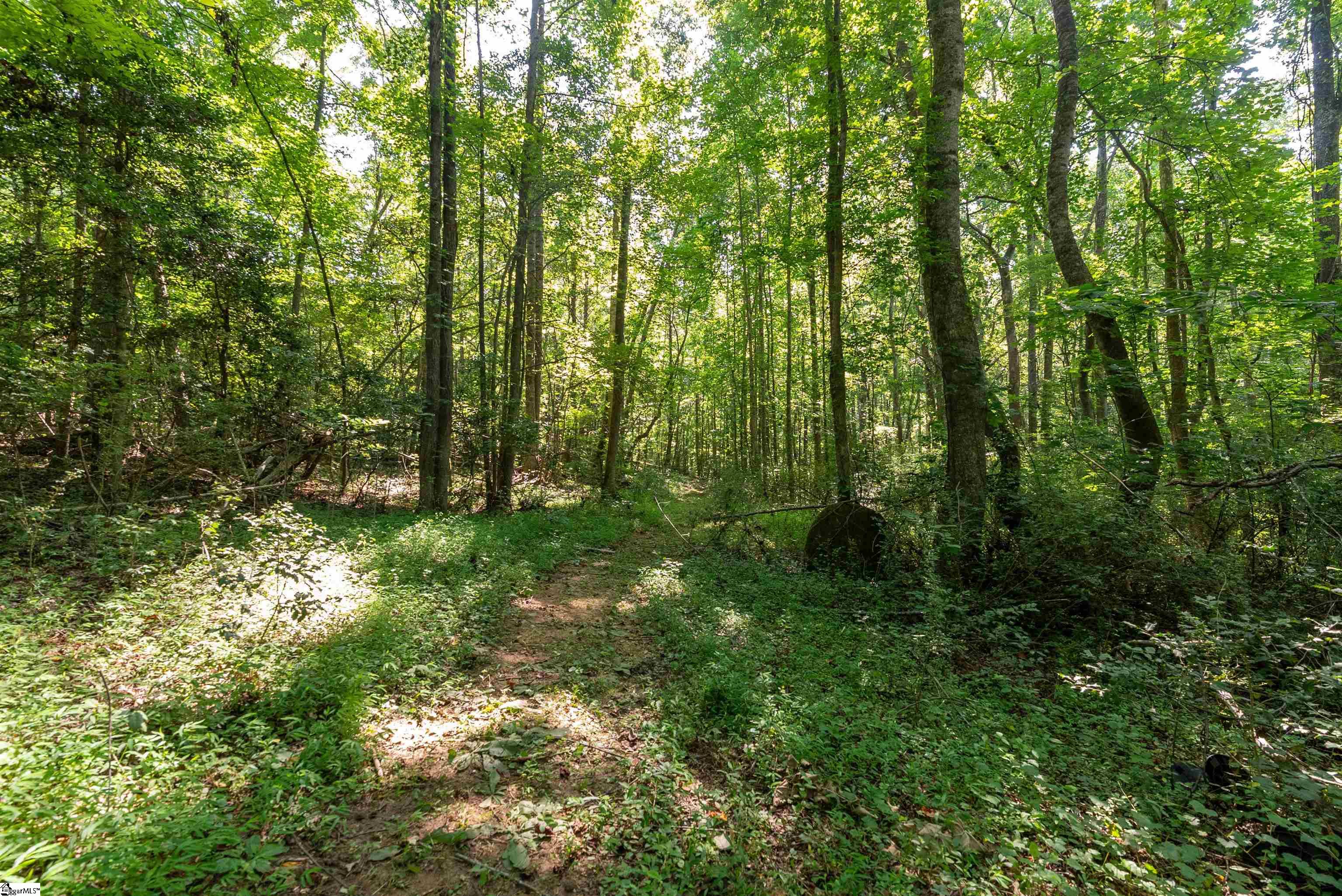 7004 Mountain View, Taylors, South Carolina image 14