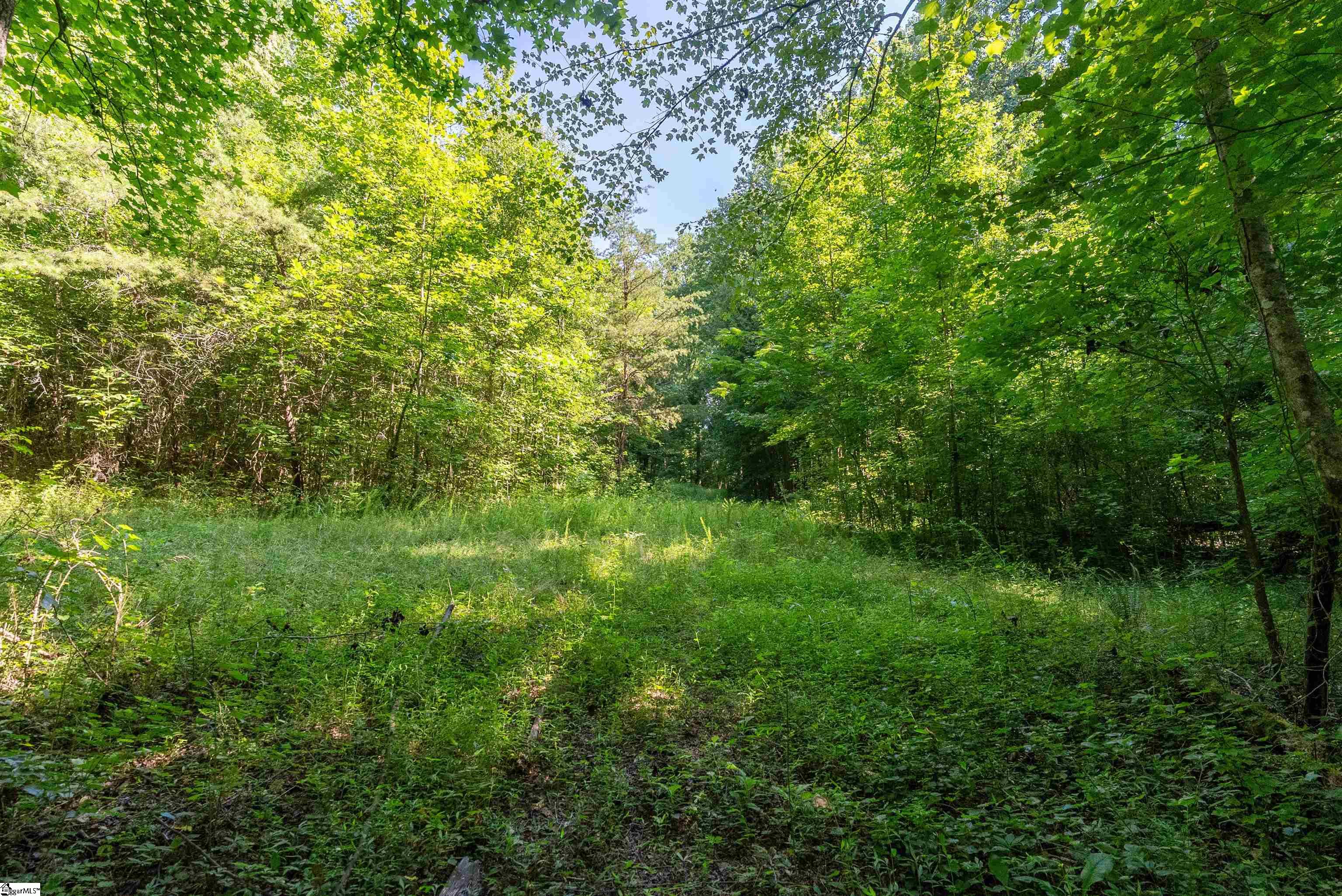 7004 Mountain View, Taylors, South Carolina image 8
