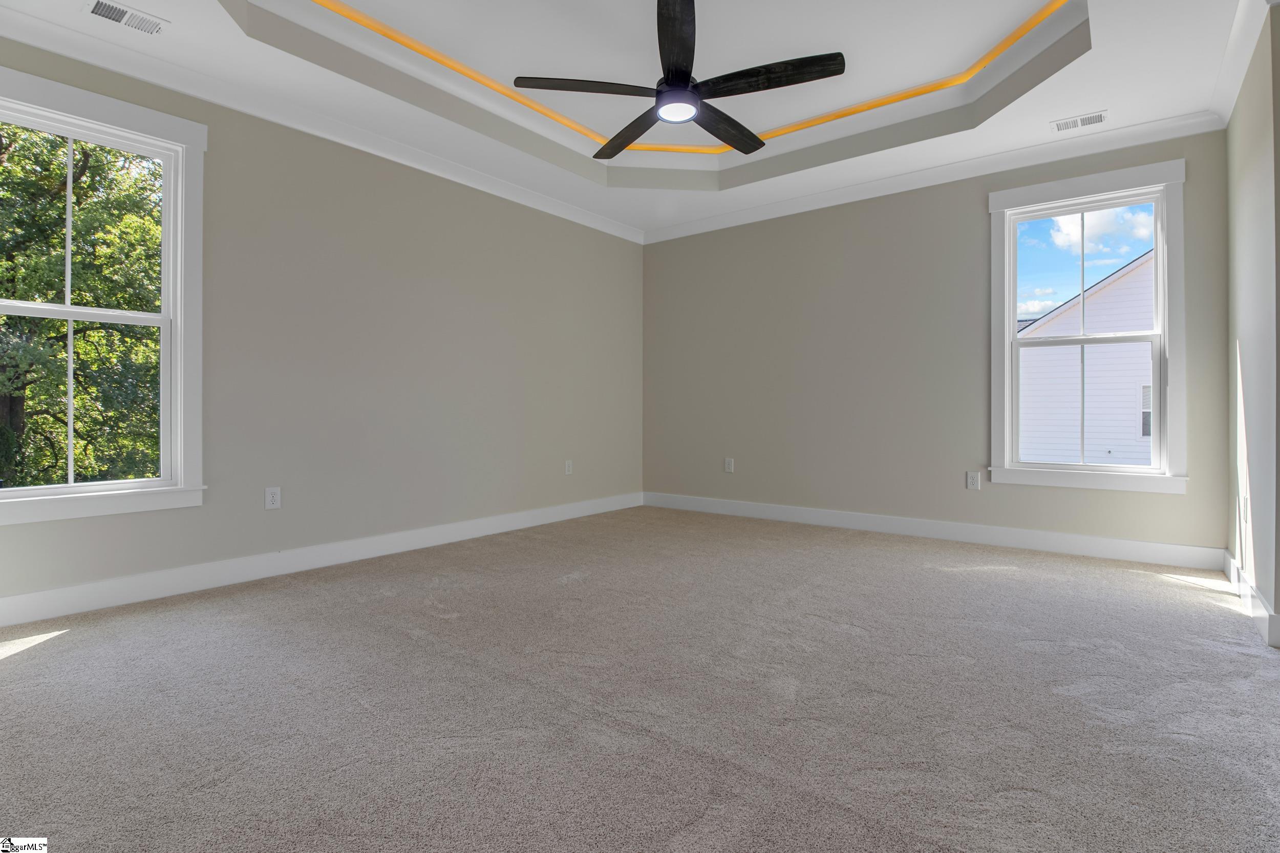11555 New Cut, Campobello, South Carolina image 19