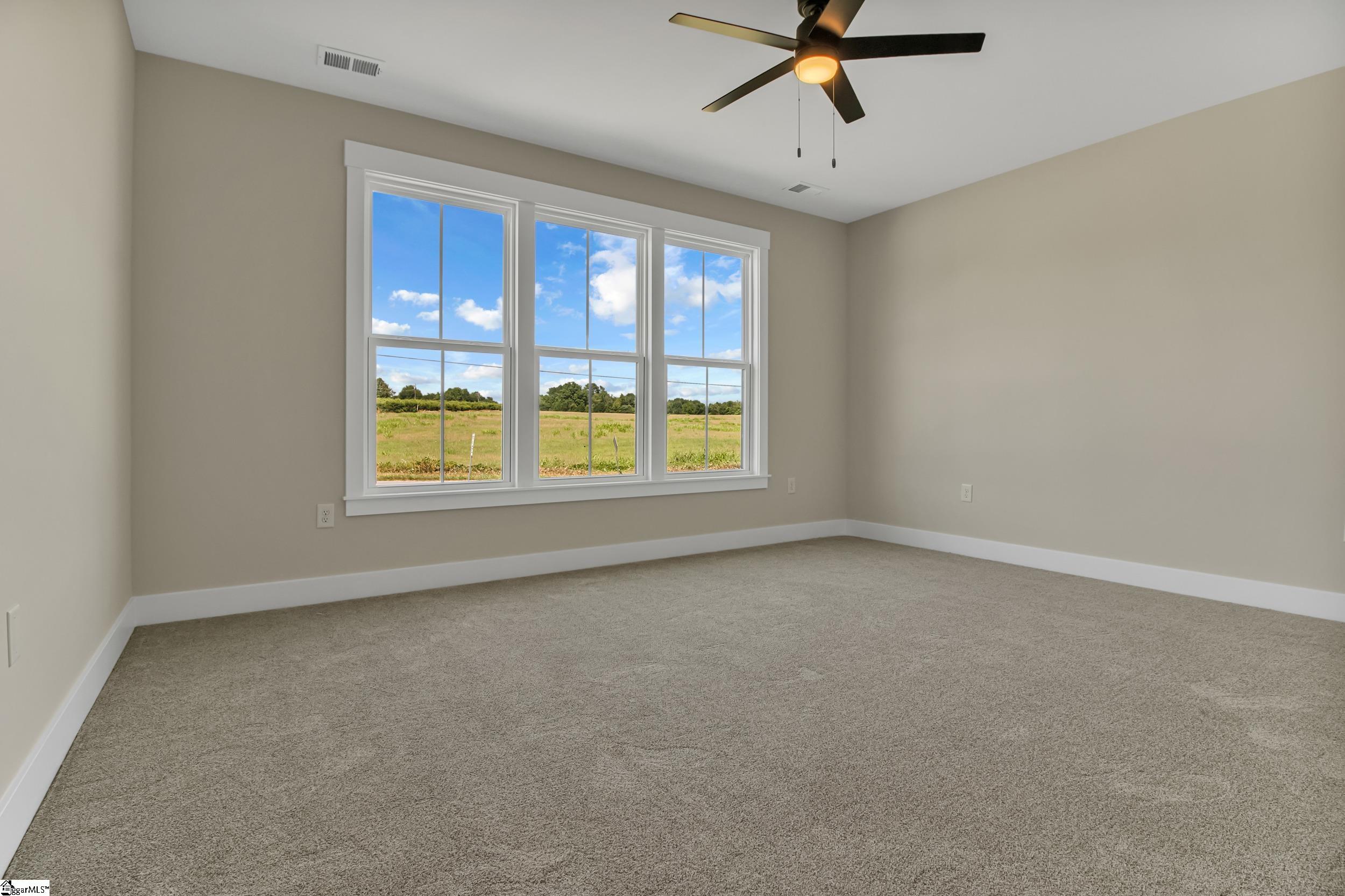 11555 New Cut, Campobello, South Carolina image 30