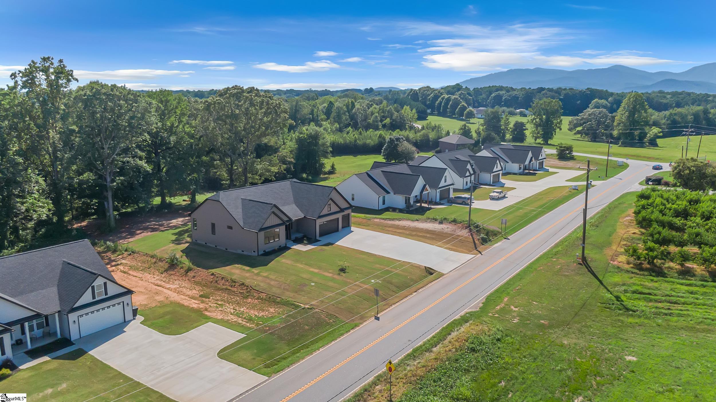 11555 New Cut, Campobello, South Carolina image 41