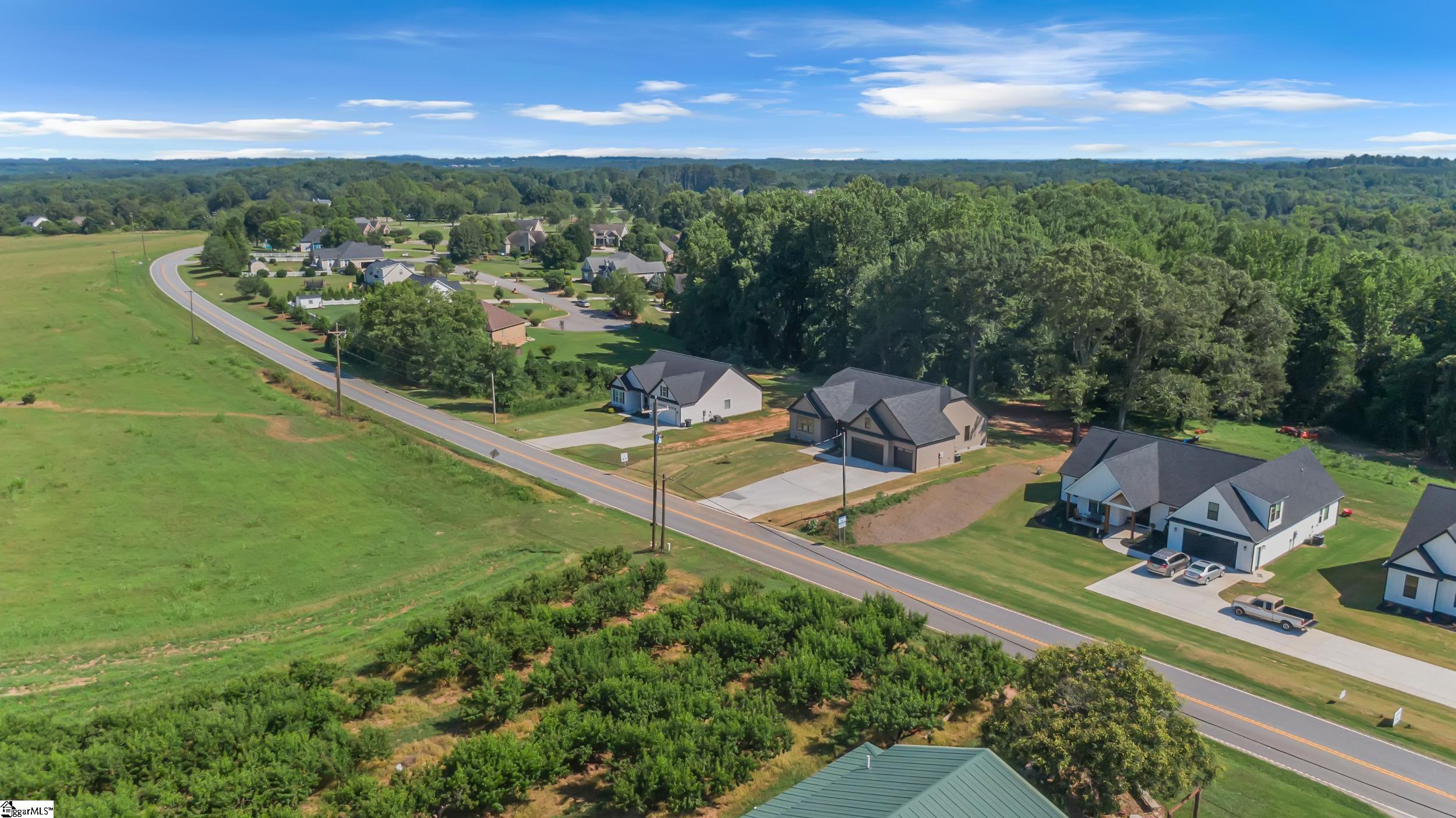 11555 New Cut, Campobello, South Carolina image 42
