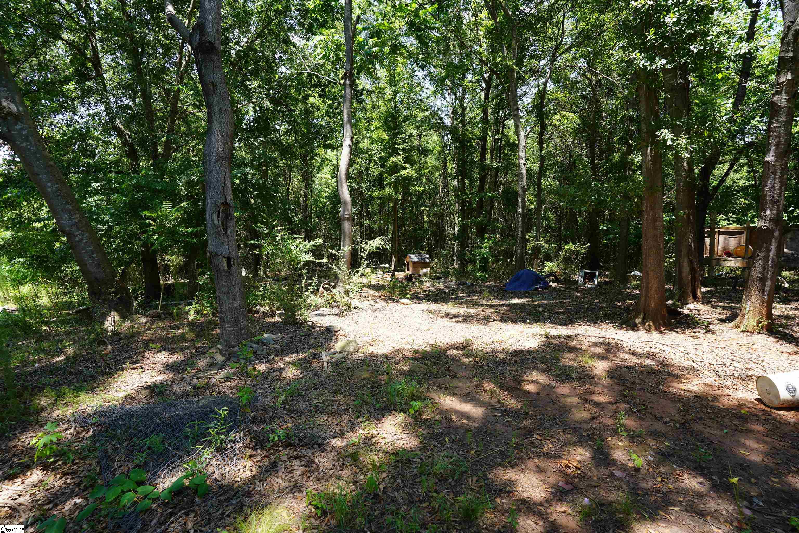 154 Dogwood, Townville, South Carolina image 5